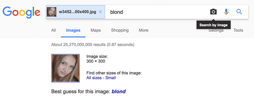 google reverse image search