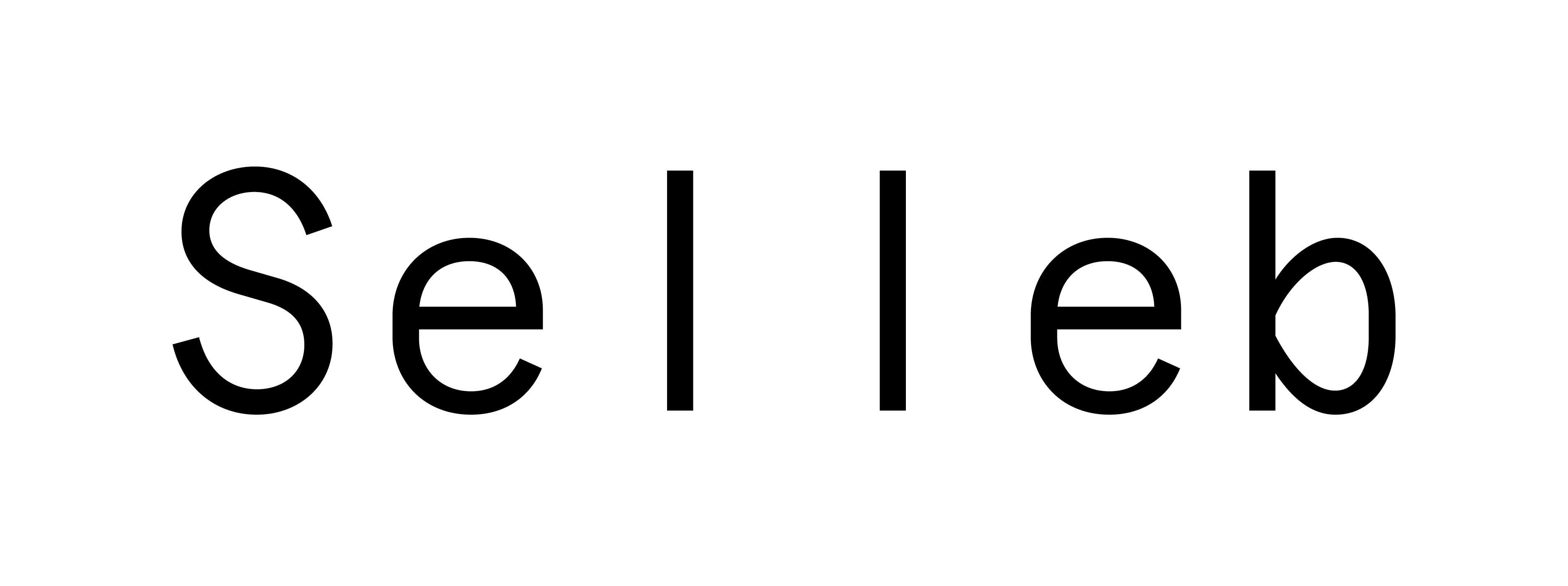 selleb-wordmark-guidelines