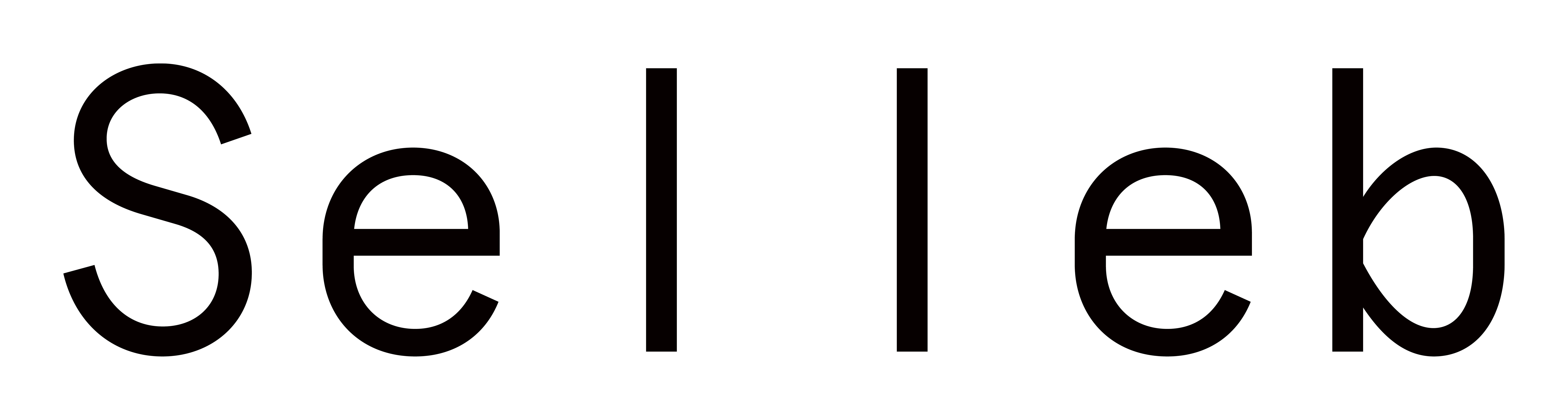 selleb-wordmark-larger