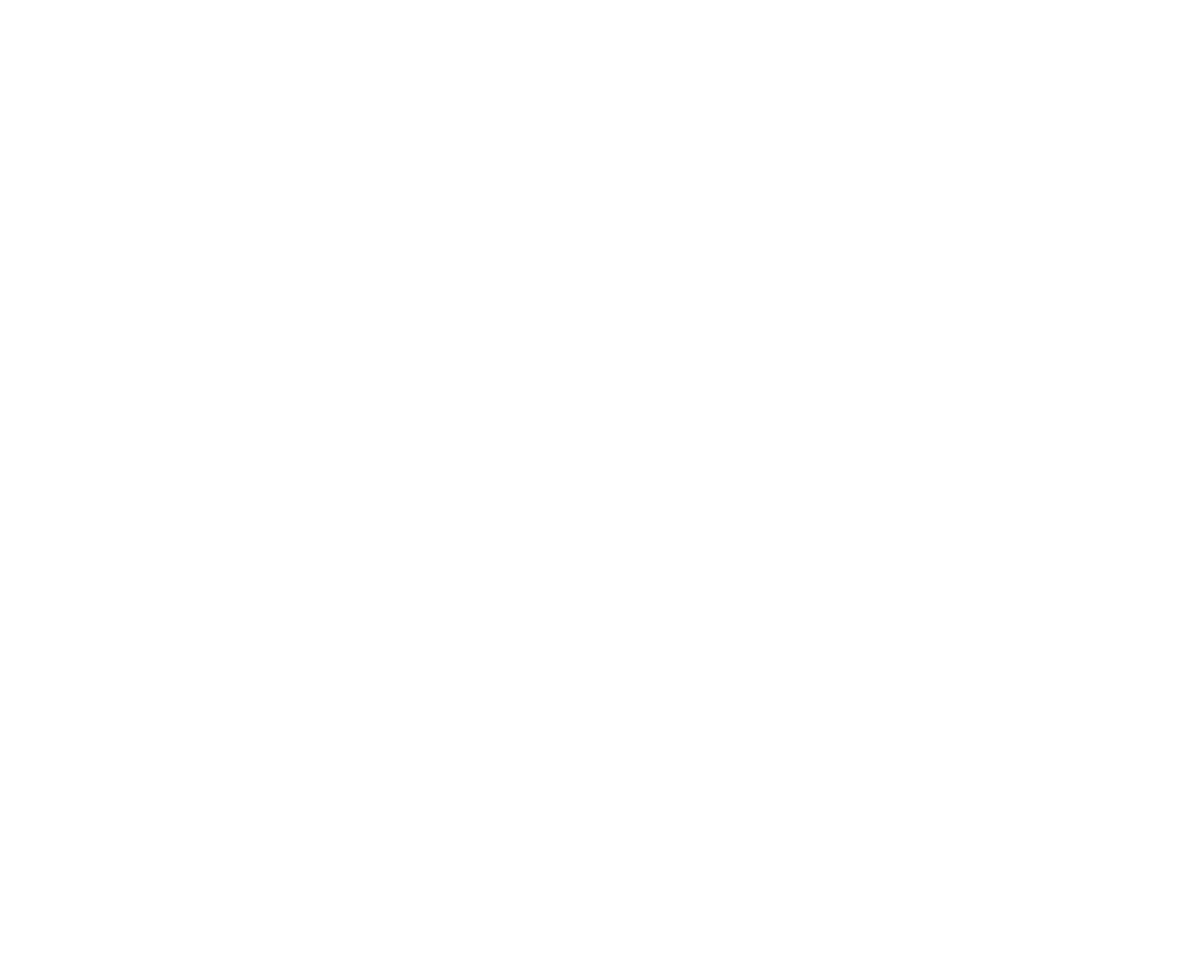 ws-norway_logo_white_rgb