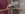 dansnow_promo_l_1
