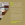 qu_type_dc12x