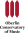 oberlin-conseratory-windows-general-type-lockup-dark-red