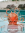 bji_kv_1_ice_mont-copy-34x