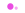 color_lilac