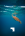 logo-on-picture-4-hover