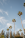 800x1200_Logo_Guideline_PhotoVert_01