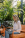 800x1200_Logo_Guideline_PhotoVert_07