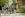 RS196866__CRU6466 copy (1)