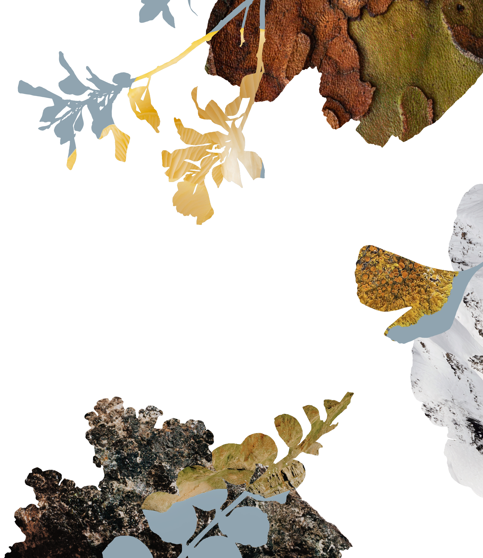 landkind-brandguide-header5