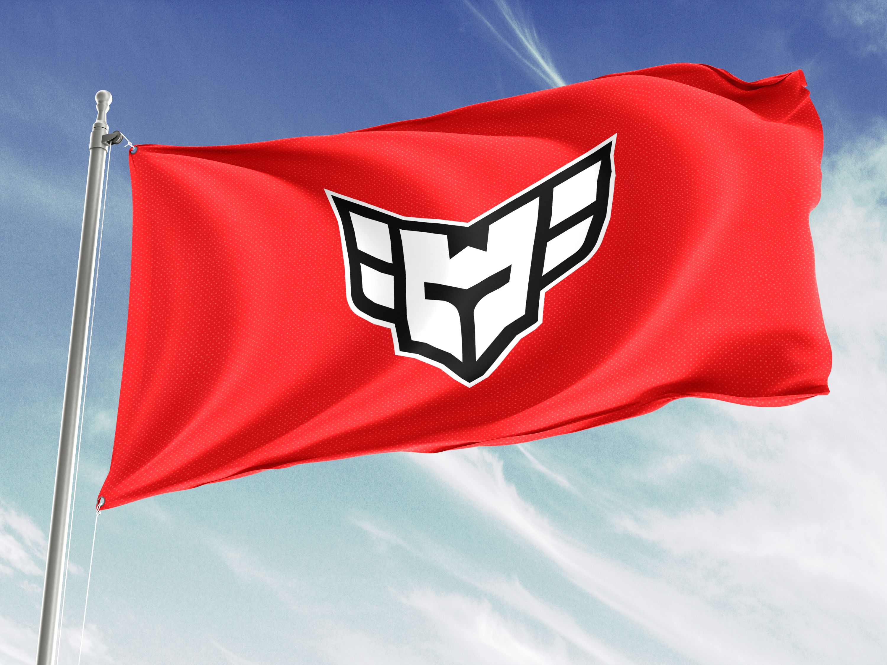 heroic_flag_mockup