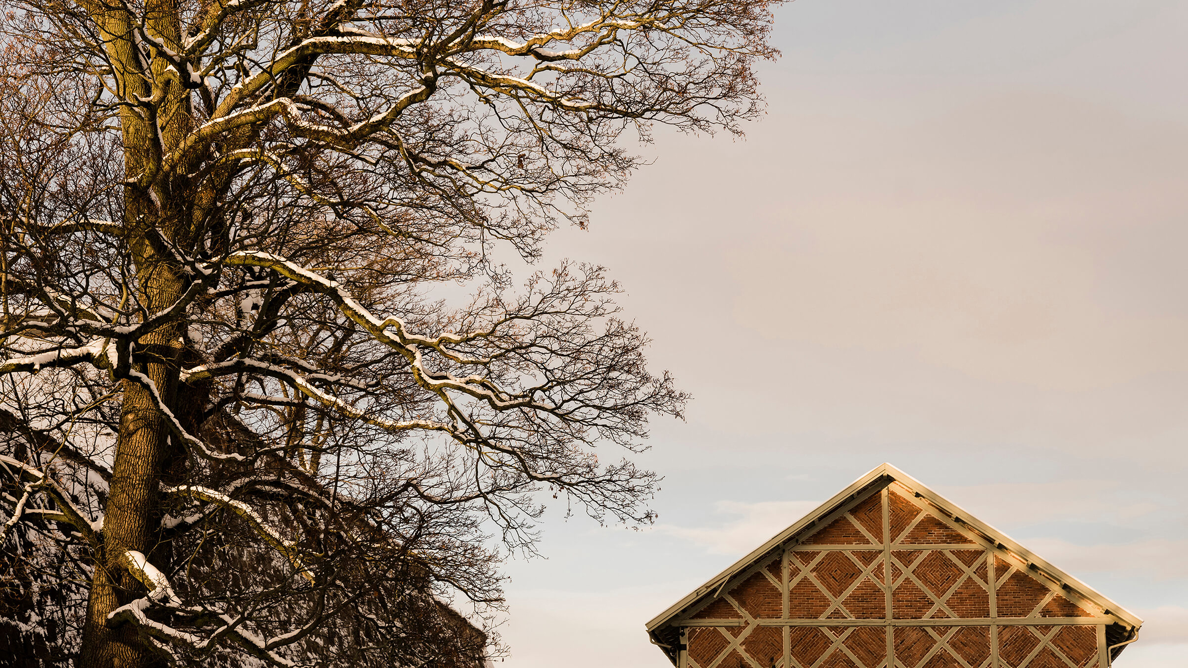 oivindhaug_fursteh_hoymagasinet_181210_0046-edit