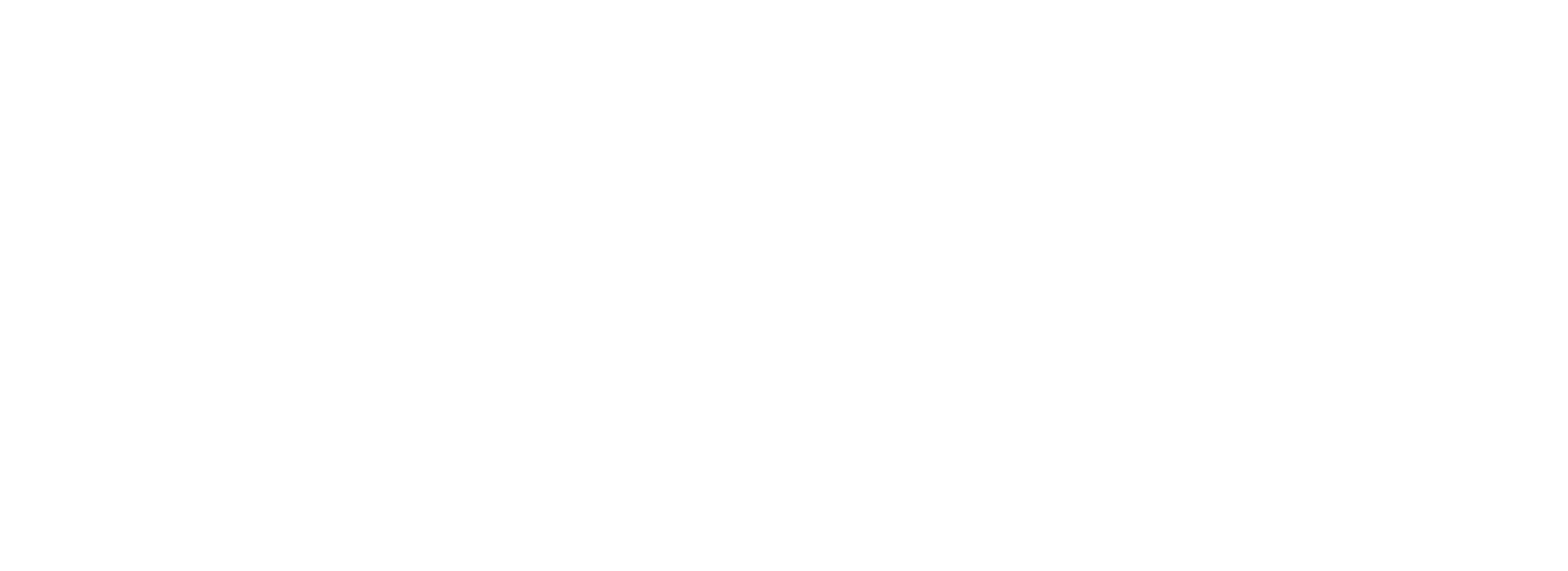 dnd_logo_navntrekk_white_rgb