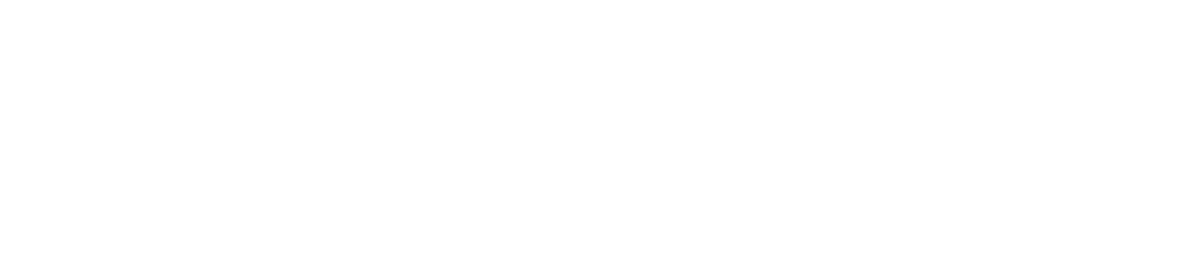 secondary-wide-white-outline