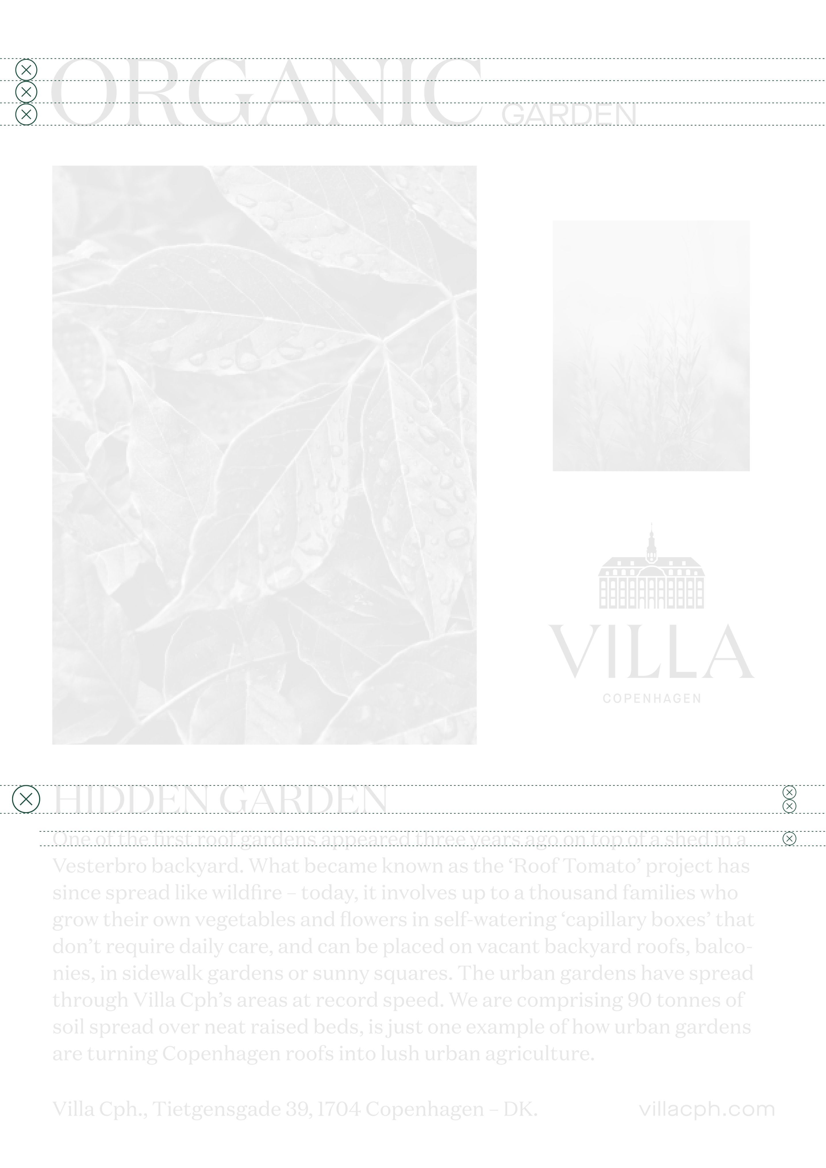 logo-measurement-layout-copy-5-compressor-2