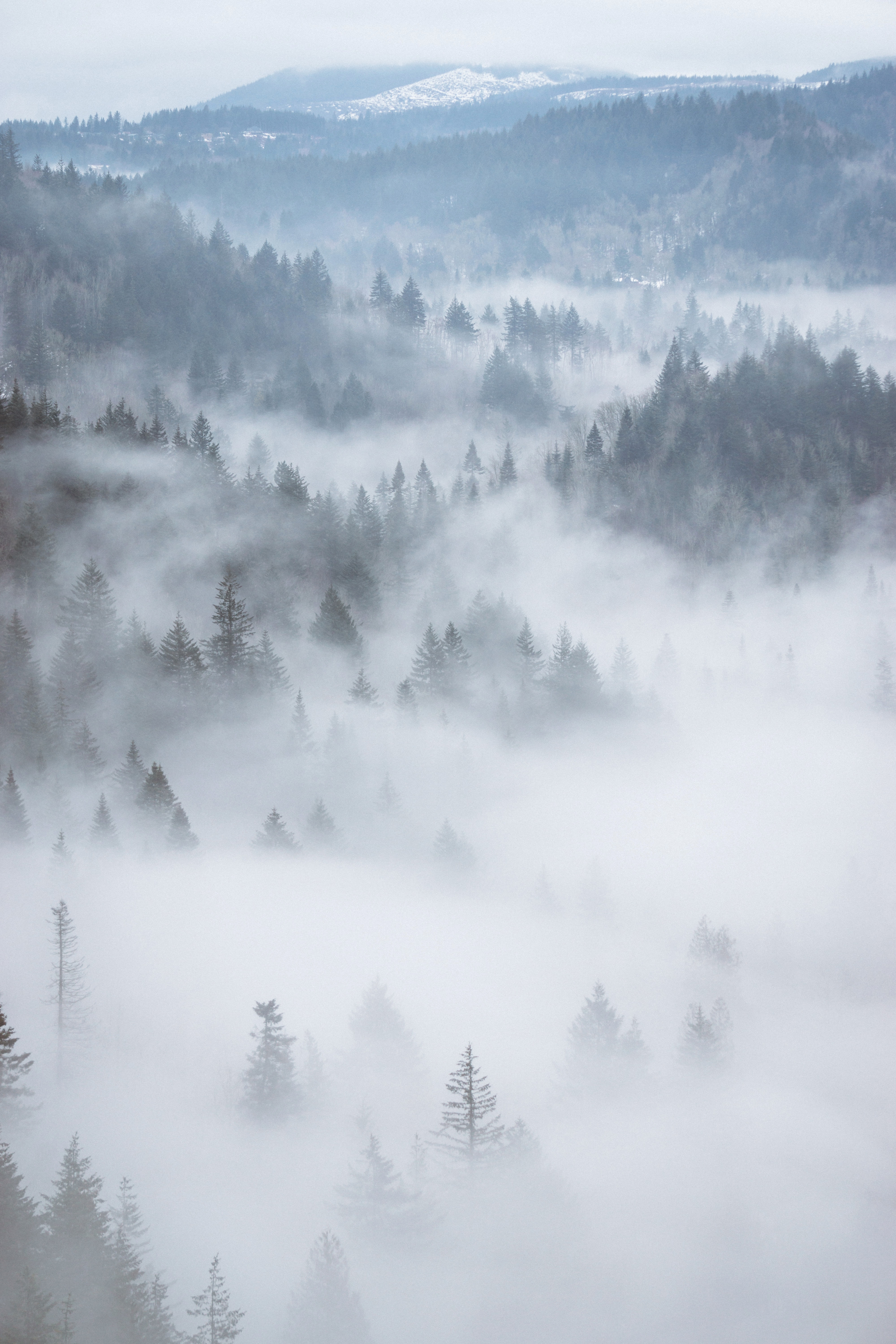 whyte_photo_2