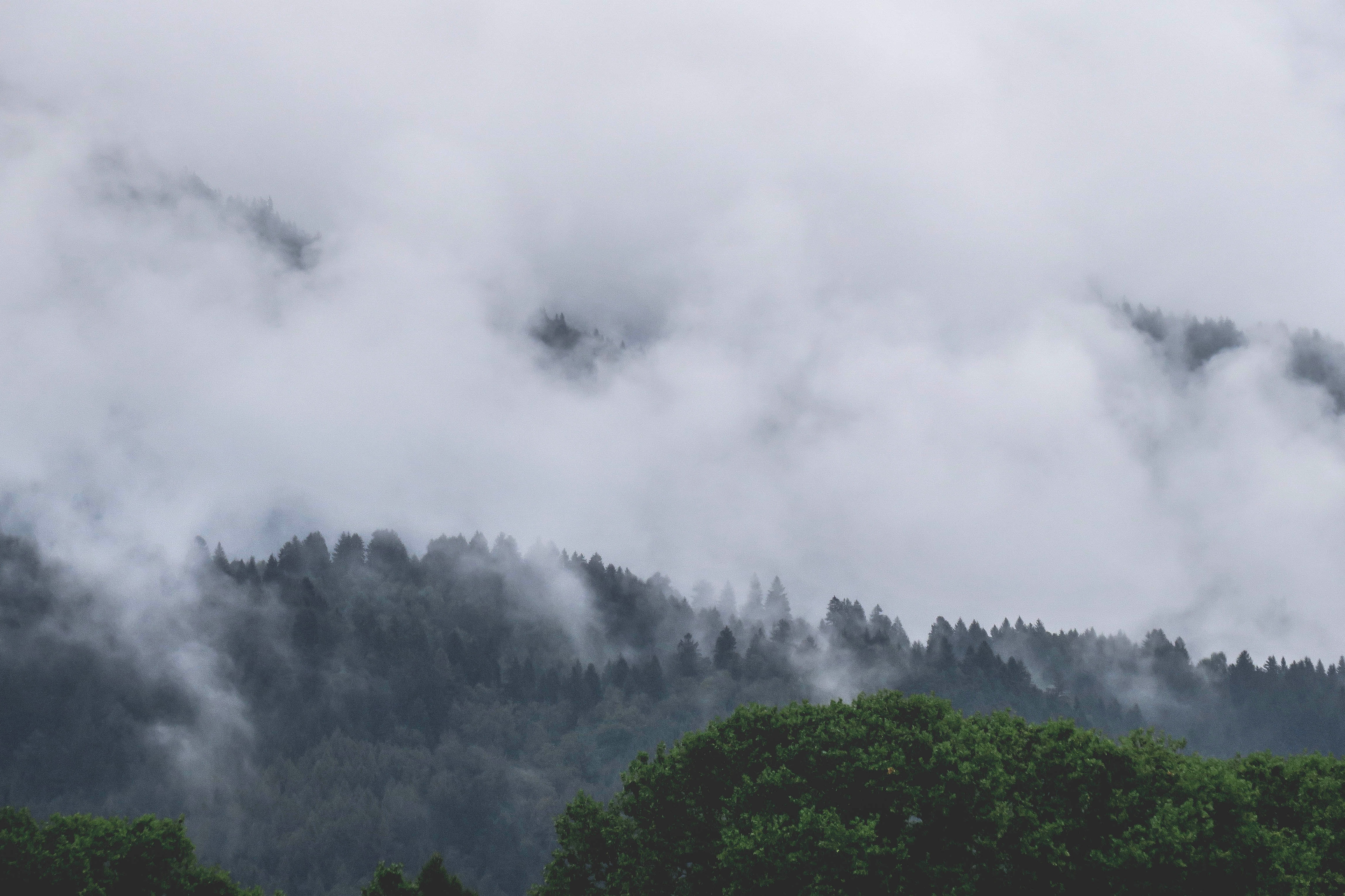 whyte_photo_7