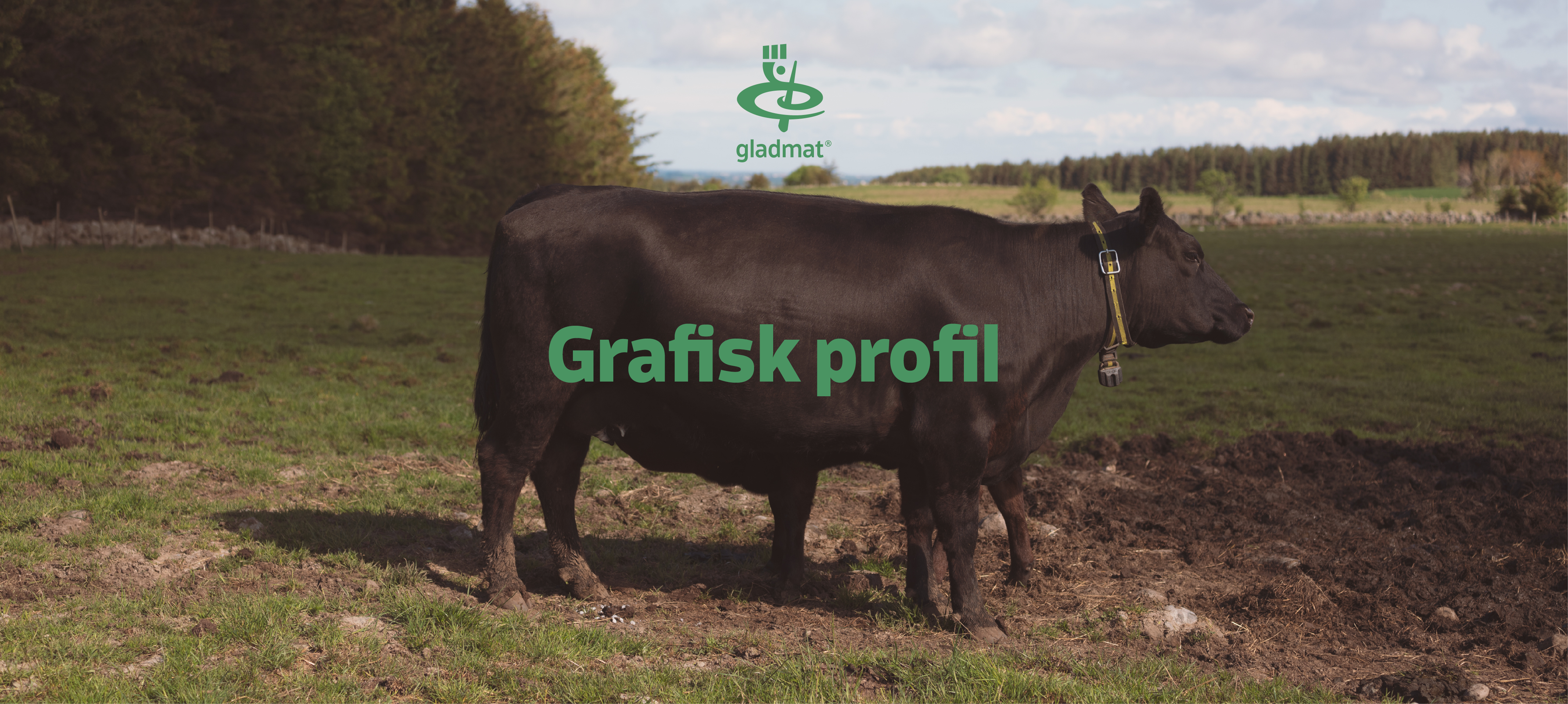 gladmat_header_ku