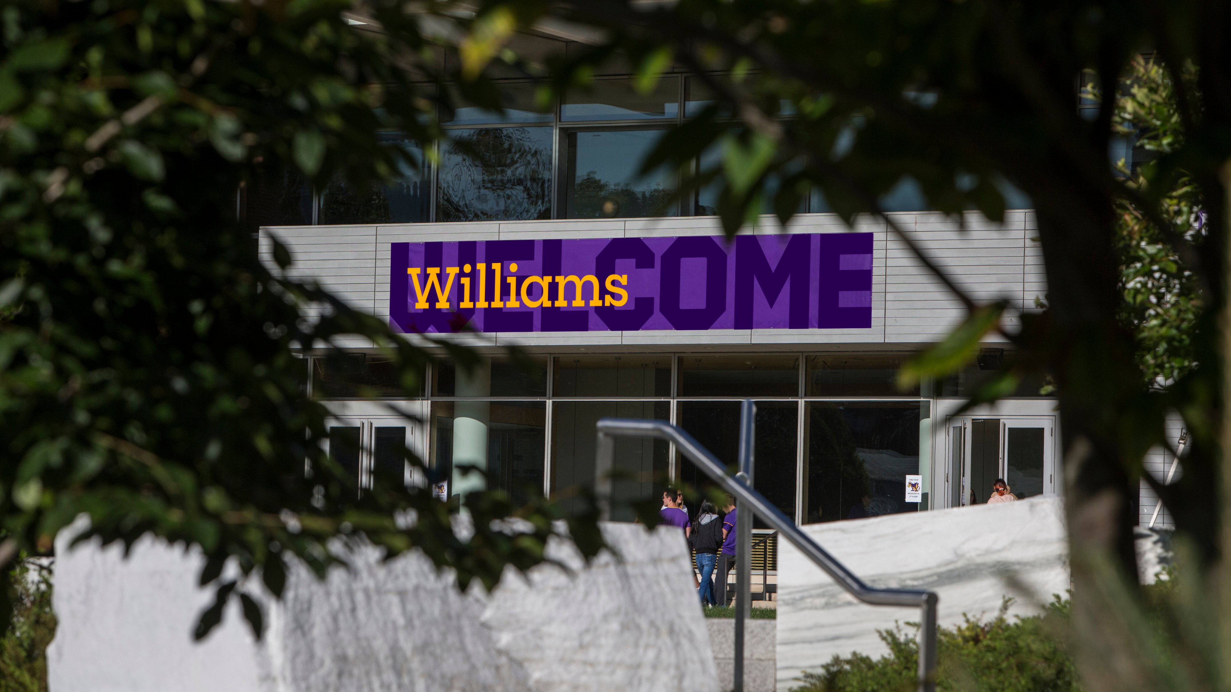 williams_guidelines_rectangle_1080px2
