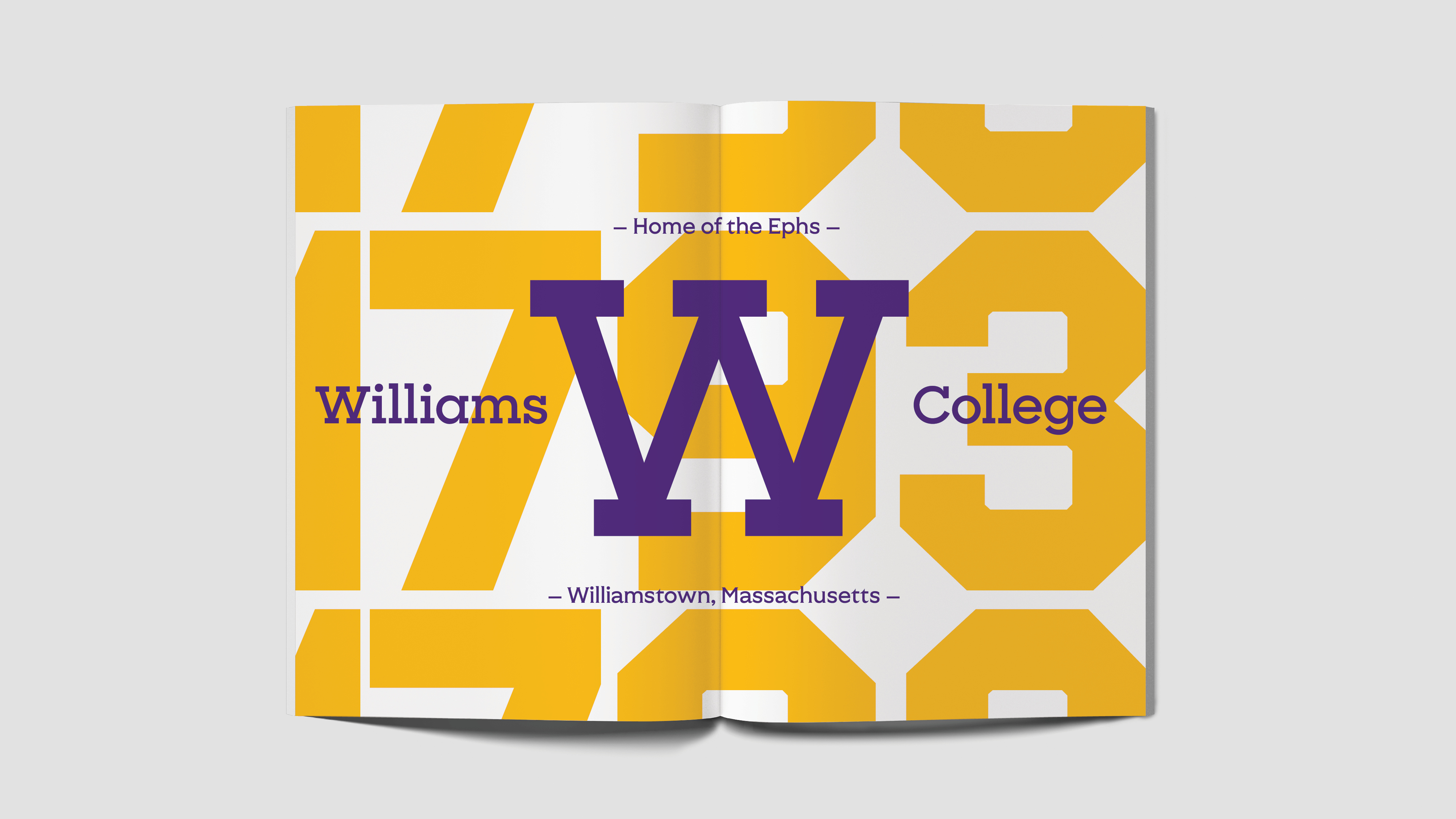 williams_guidelines_rectangle_1080px4