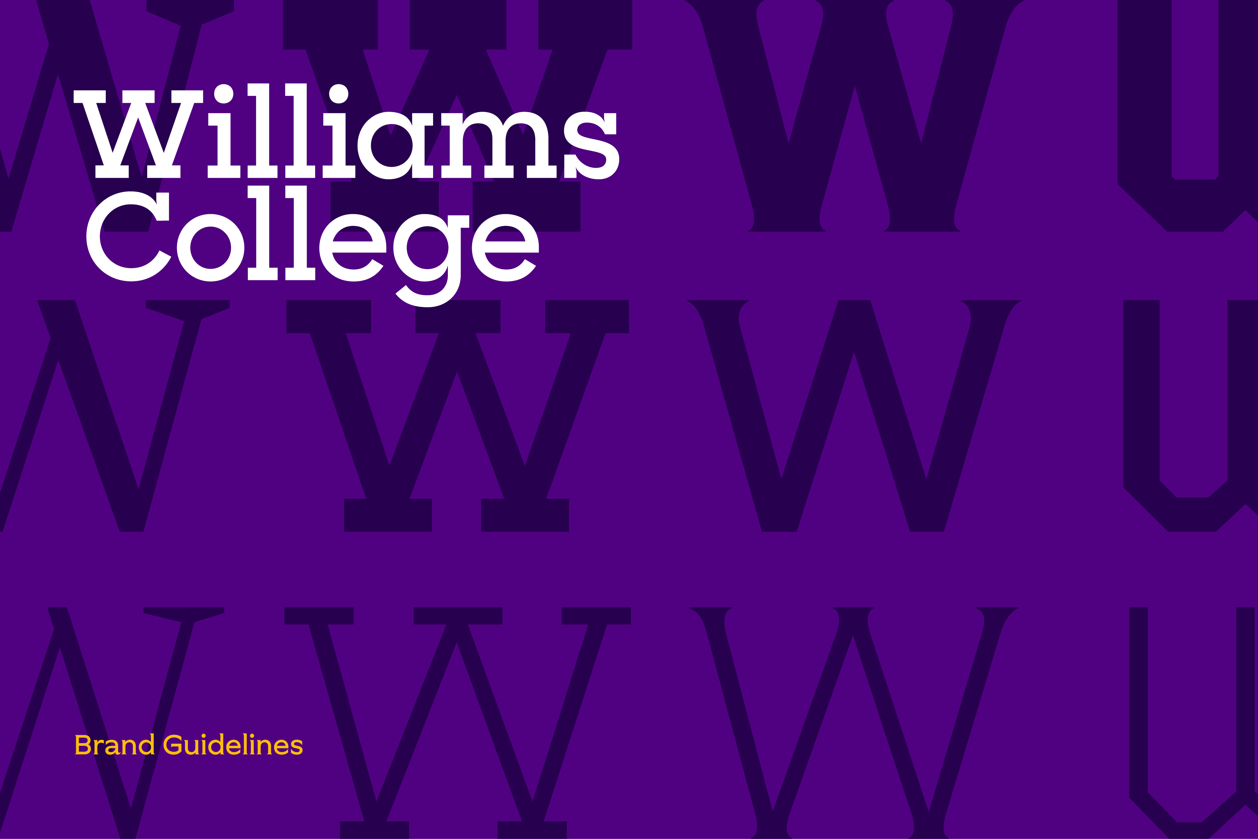 williams_guidelines_rectangle_1280px