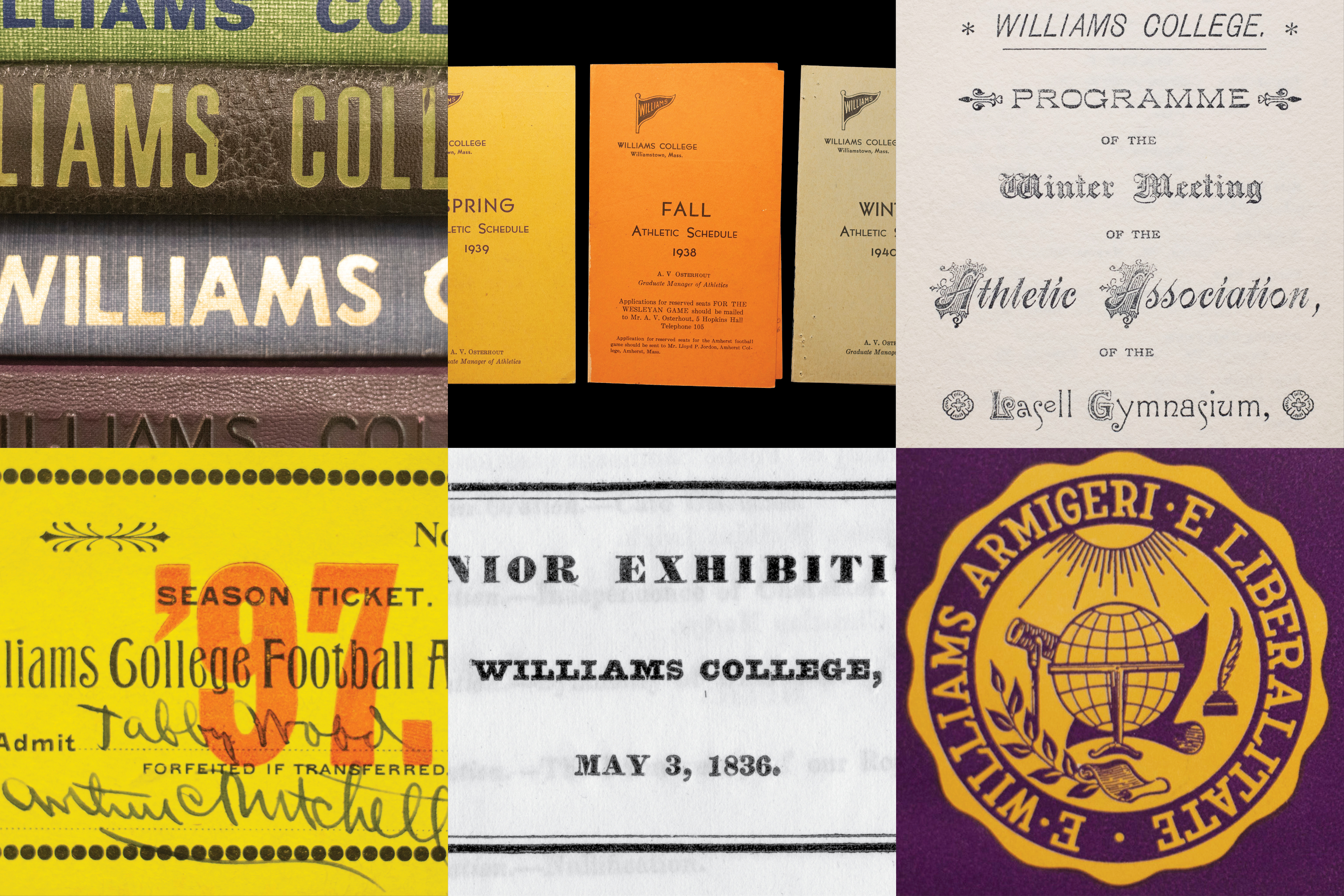 williams_guidelines_rectangle_1280px4