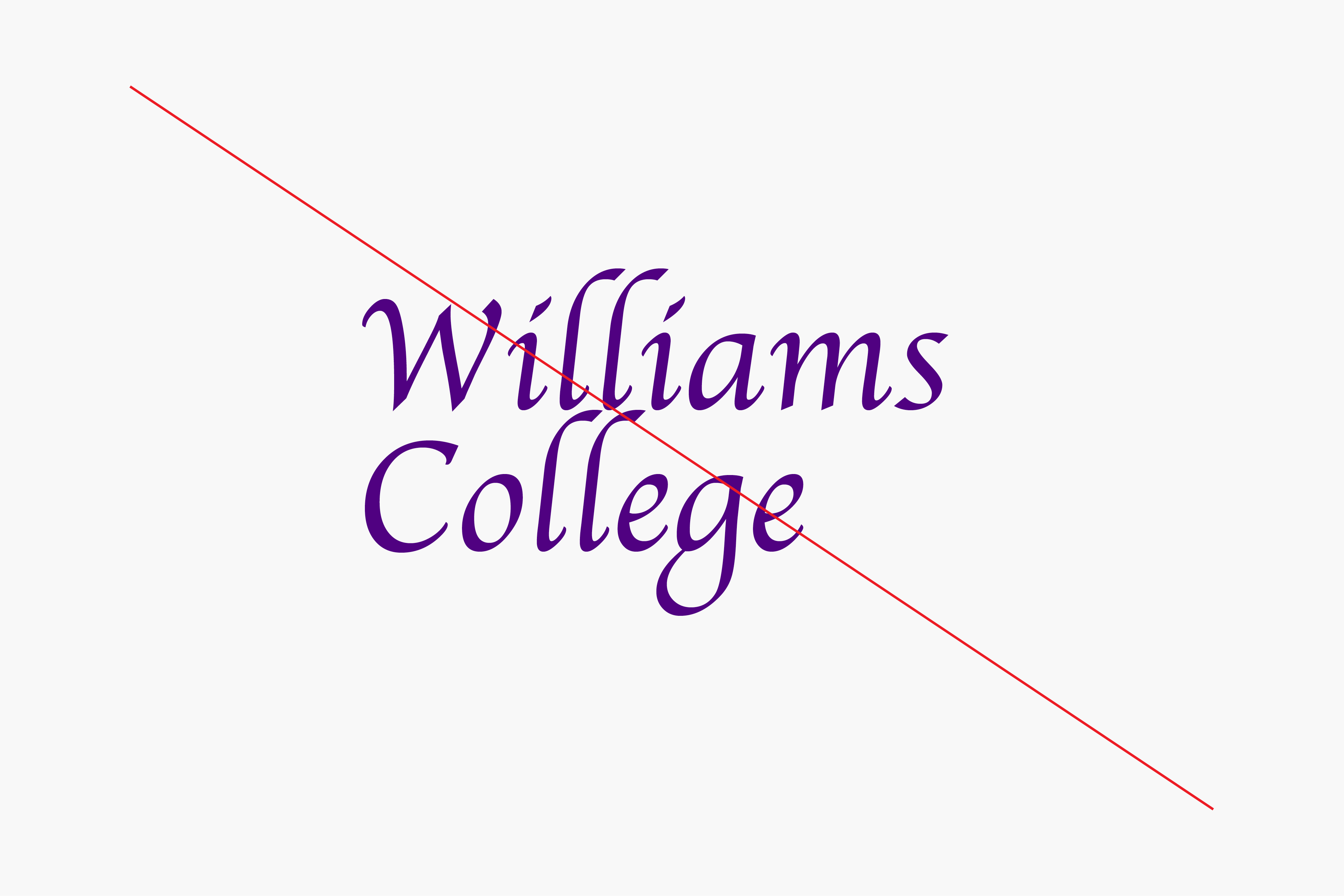 williams_guidelines_rectangle_1280px13