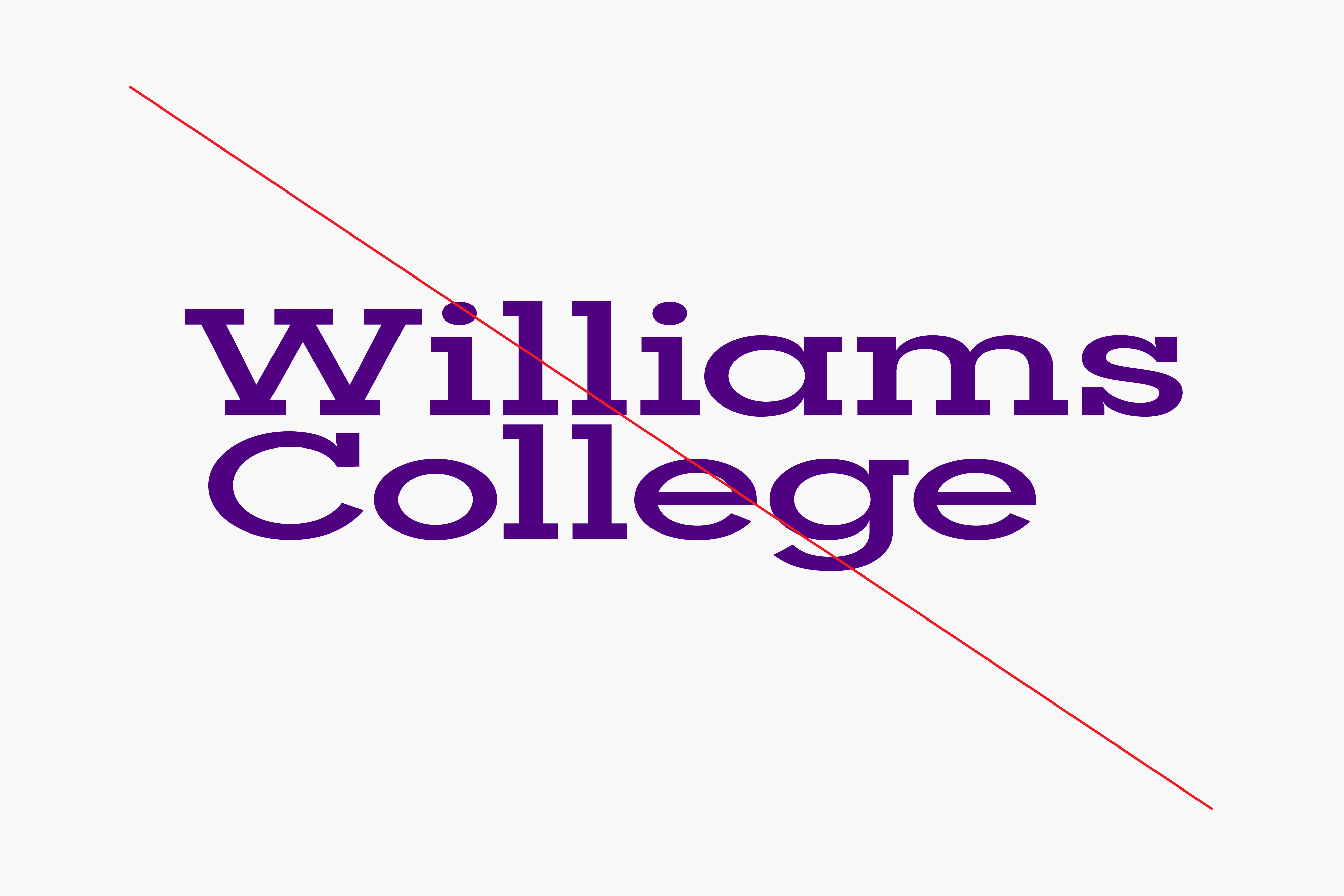 williams_guidelines_rectangle_1280px12
