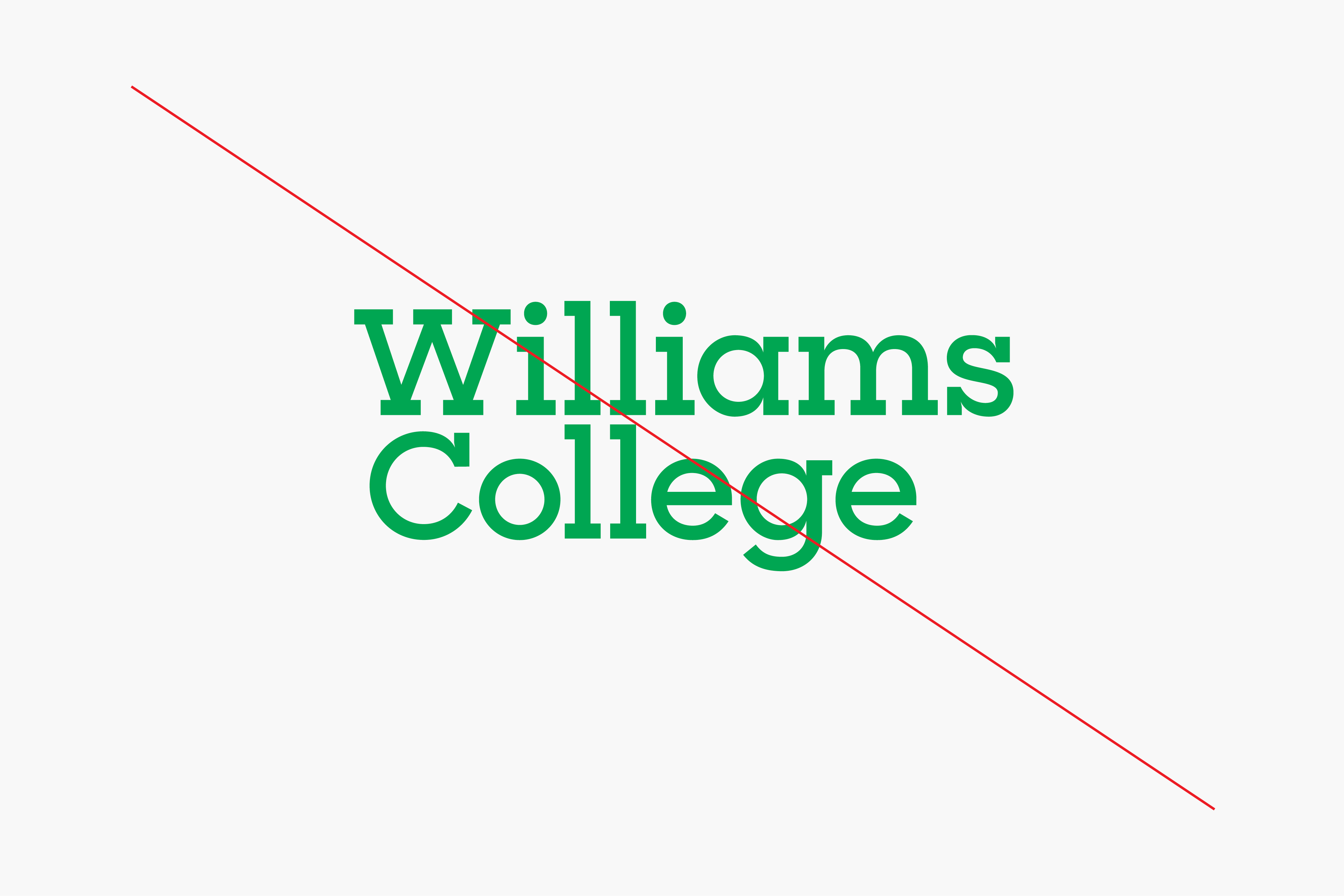 williams_guidelines_rectangle_1280px14