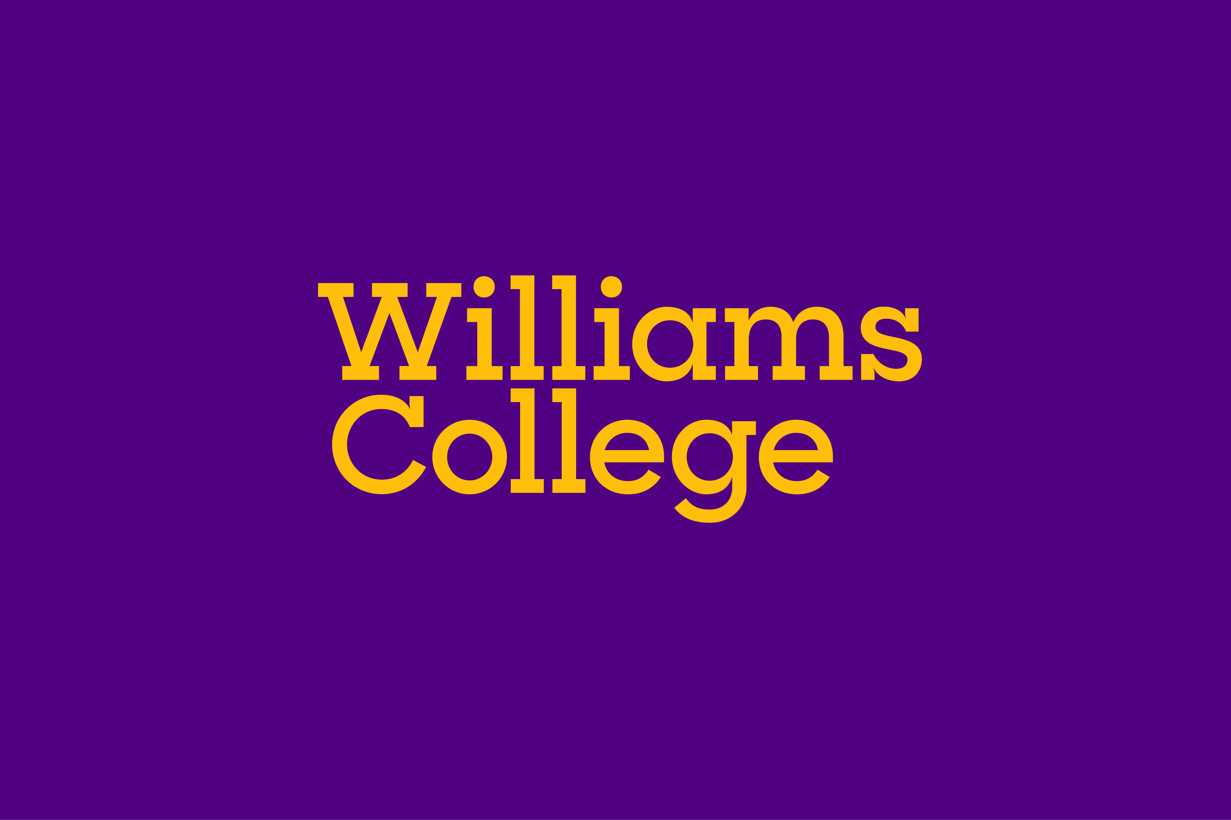 williams_guidelines_rectangle_1280px11