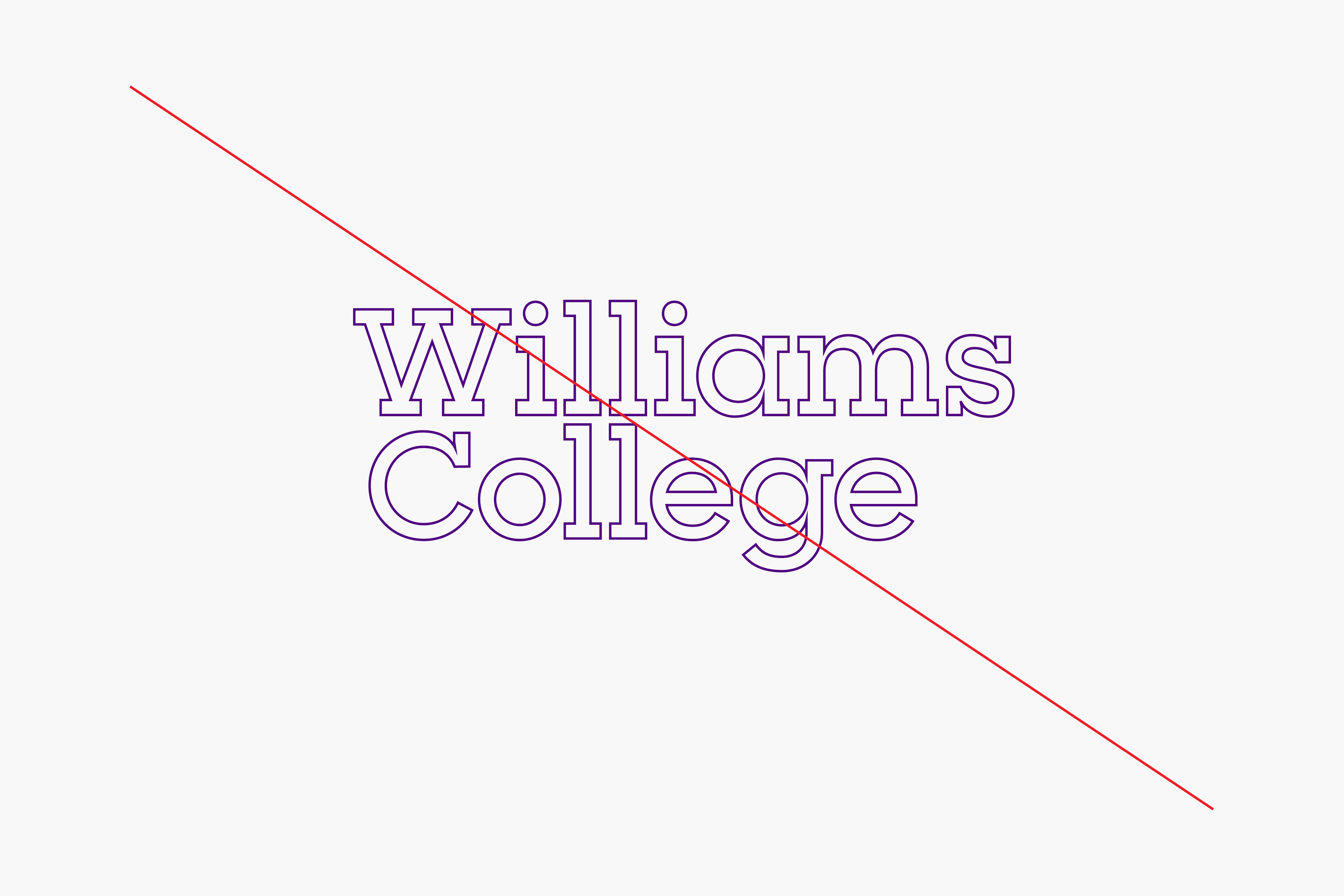 williams_guidelines_rectangle_1280px15