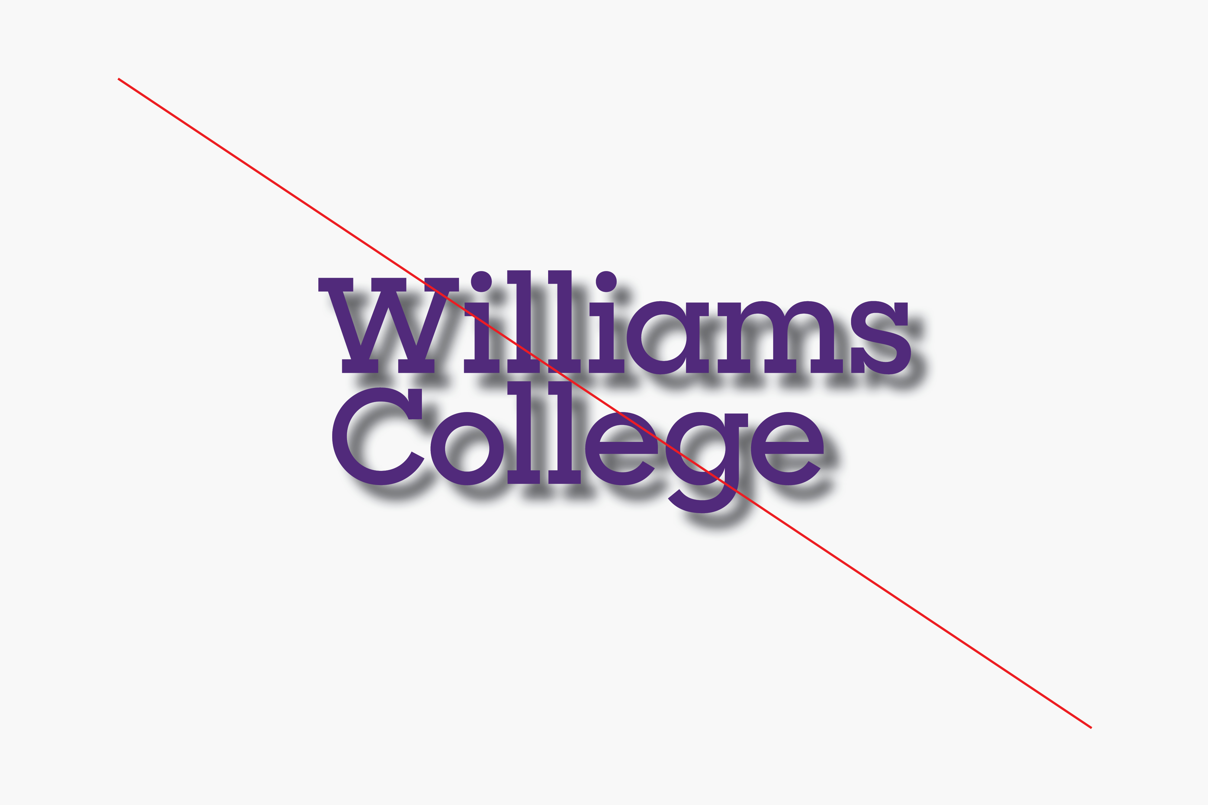 williams_guidelines_rectangle_1280px16