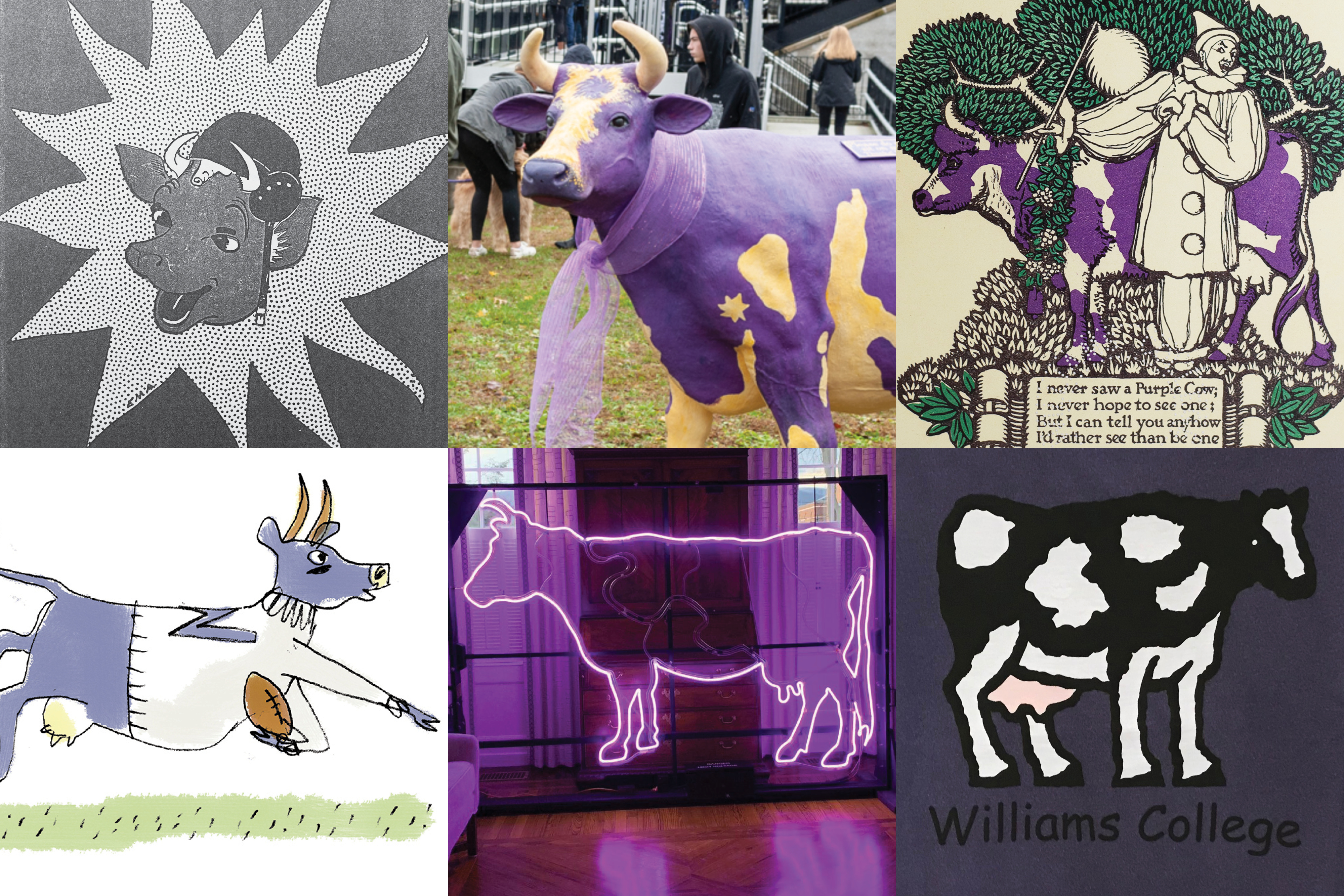 williams_guidelines_rectangle_1280px26