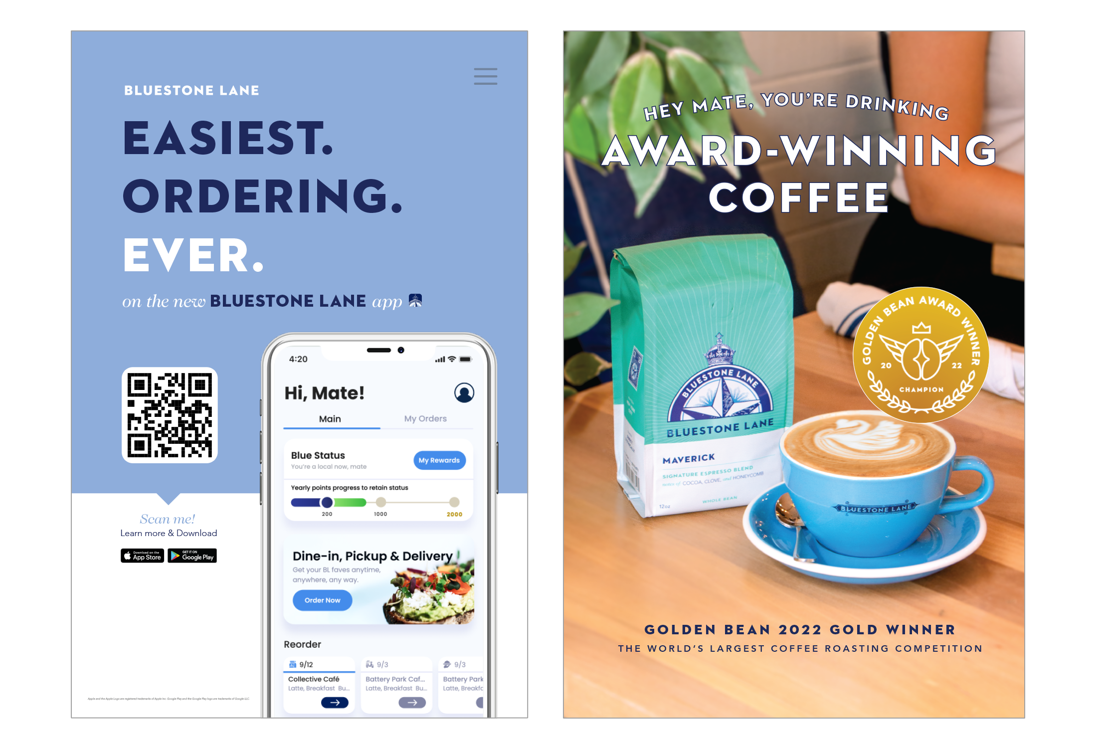 Bluestone Lane VMD brand identity, guideline and assets.