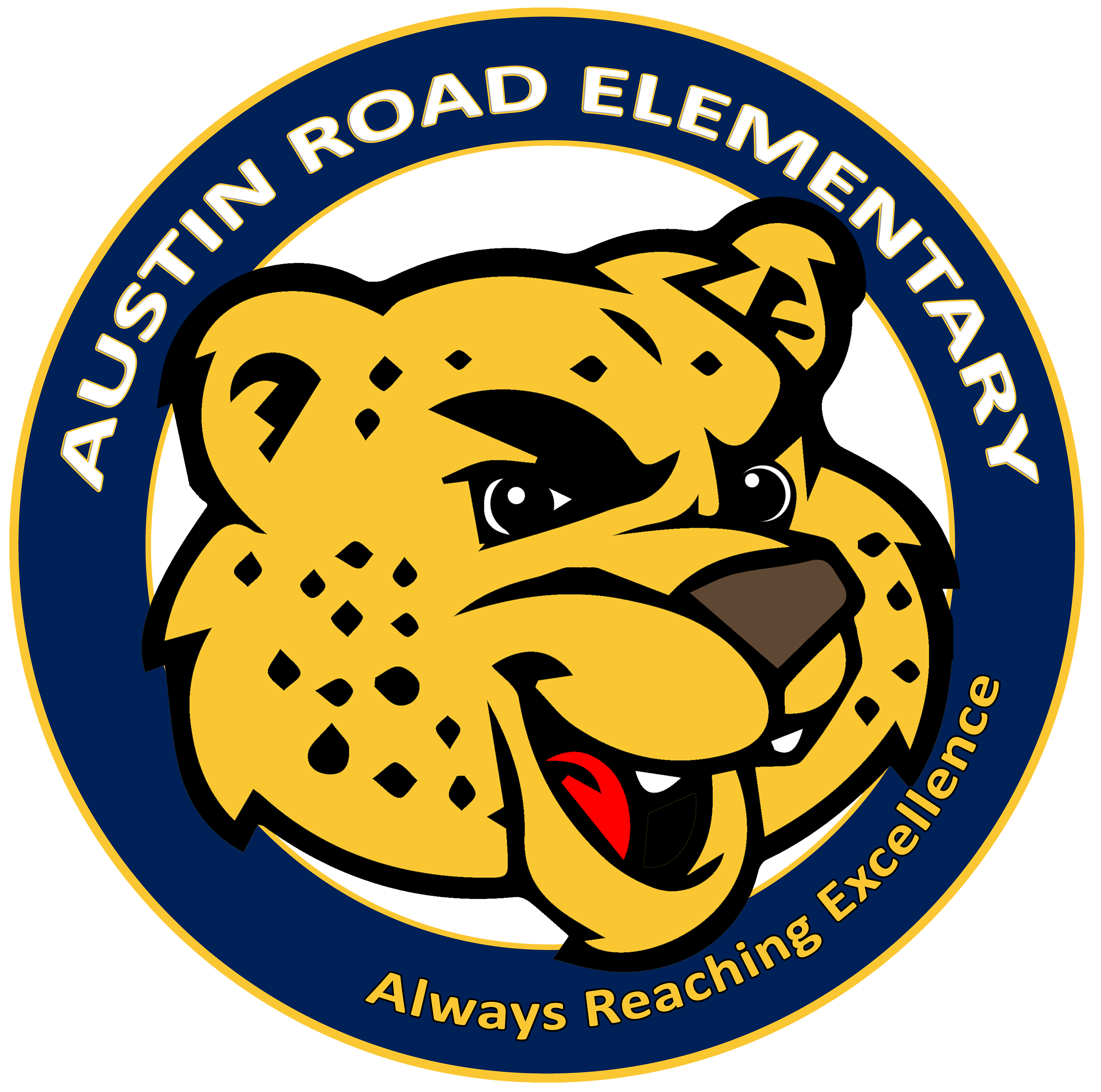 austinroades_primary