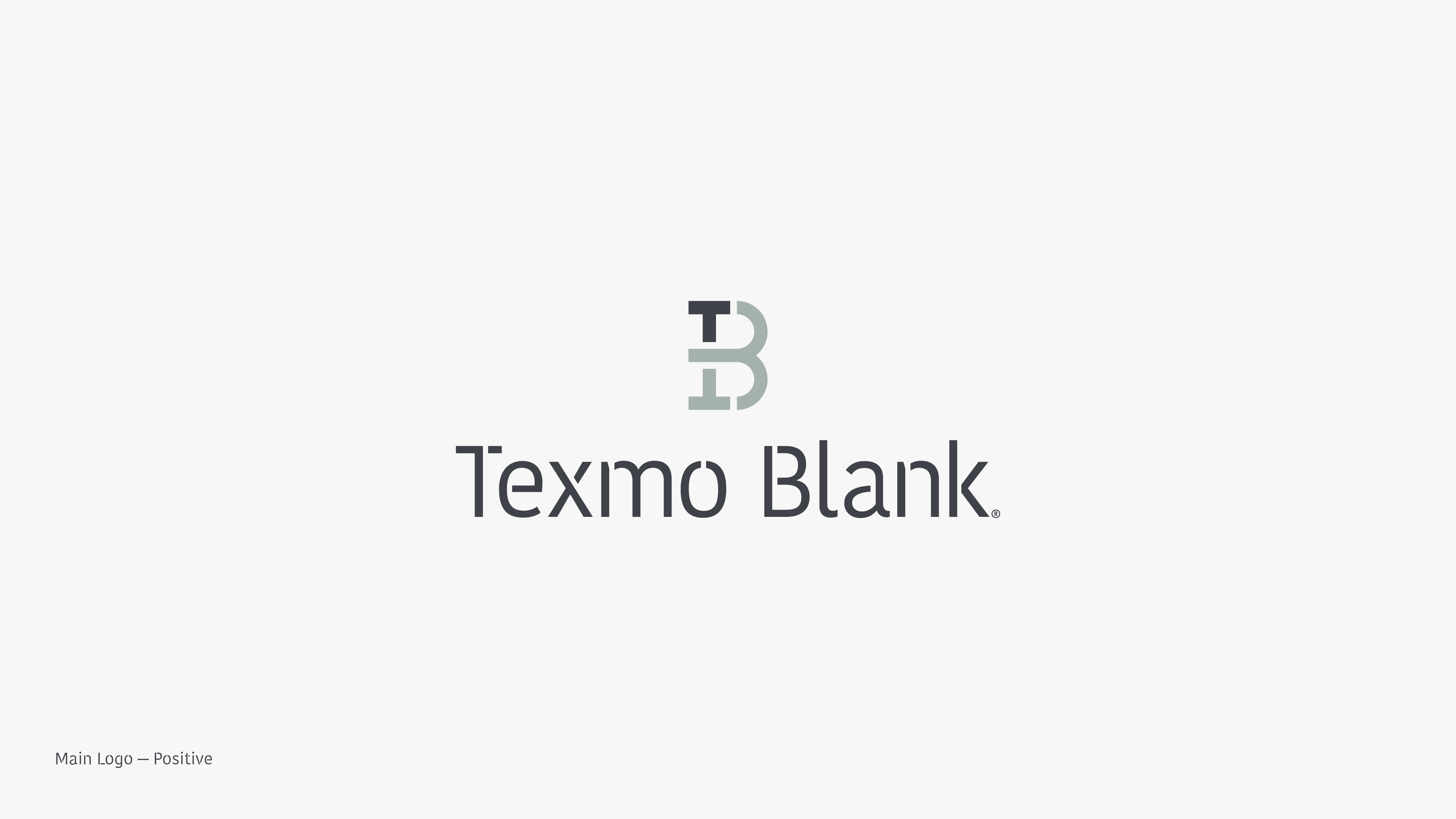 texmoblank_brand-guidelines2a