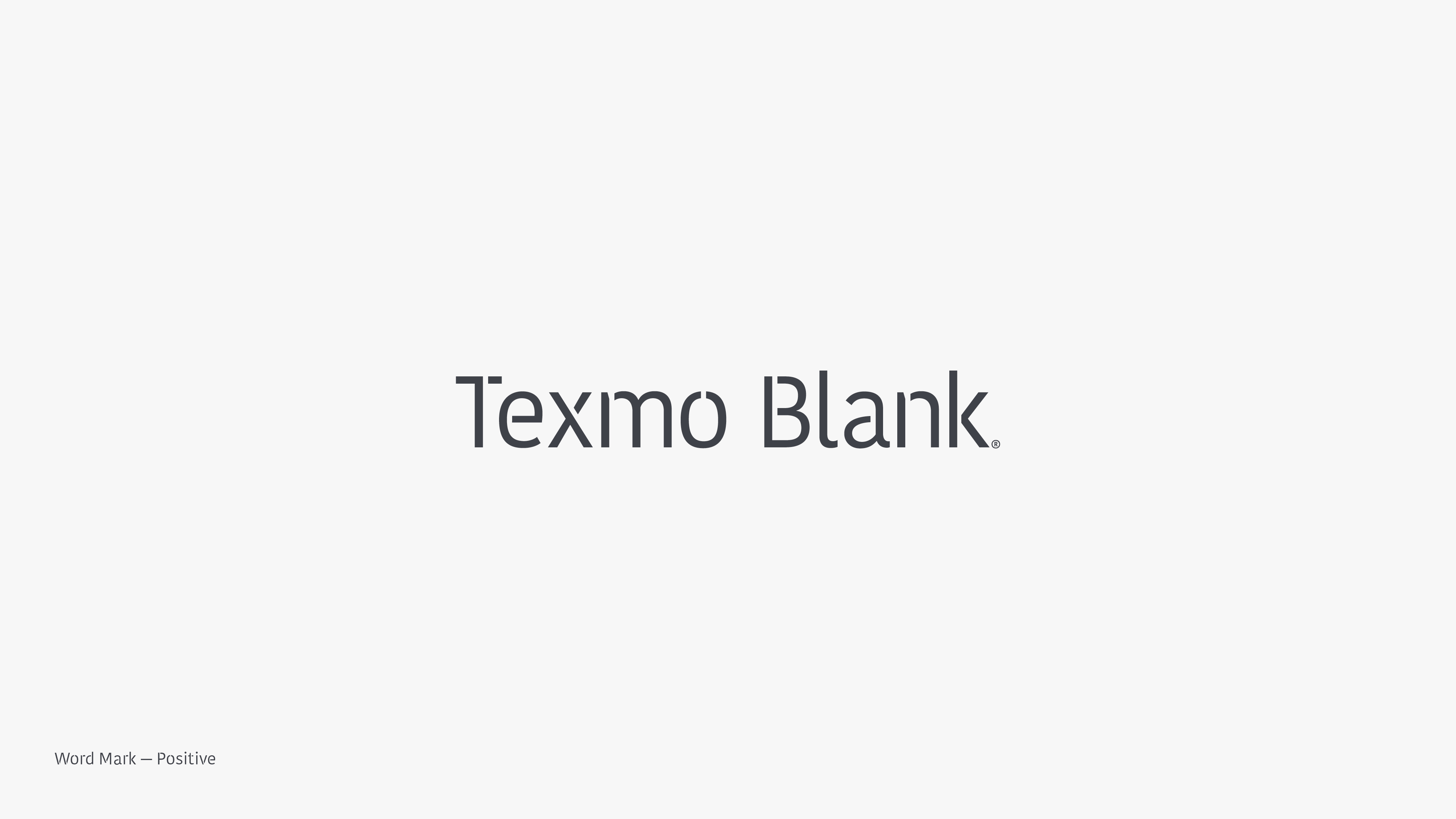 texmoblank_brand-guidelines5a