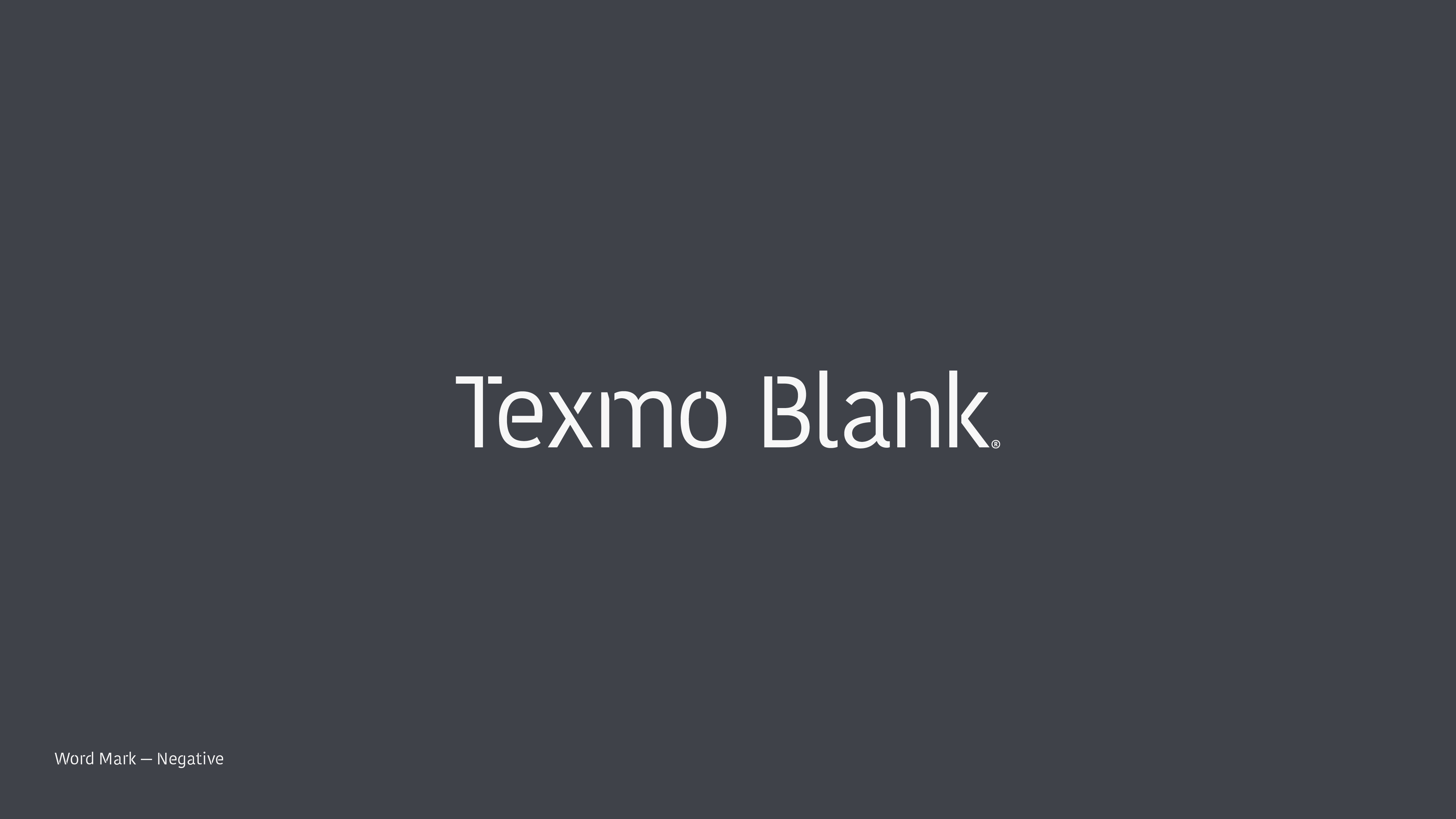 texmoblank_brand-guidelines6a