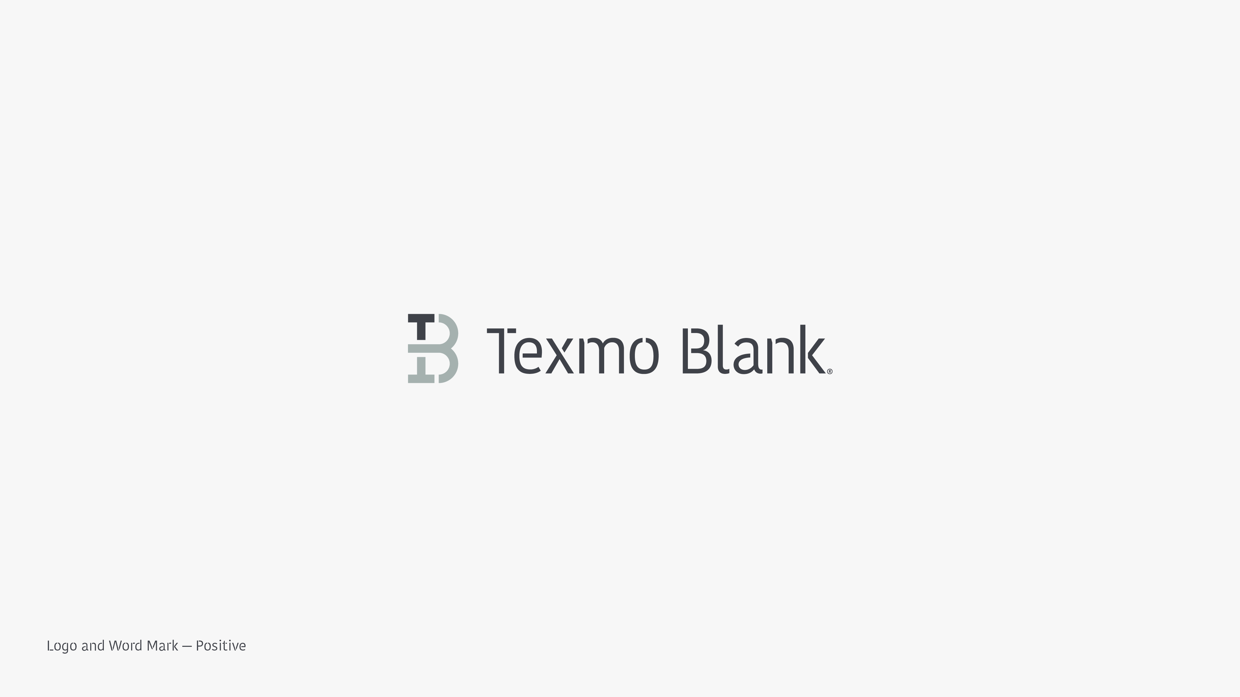 texmoblank_brand-guidelines12a
