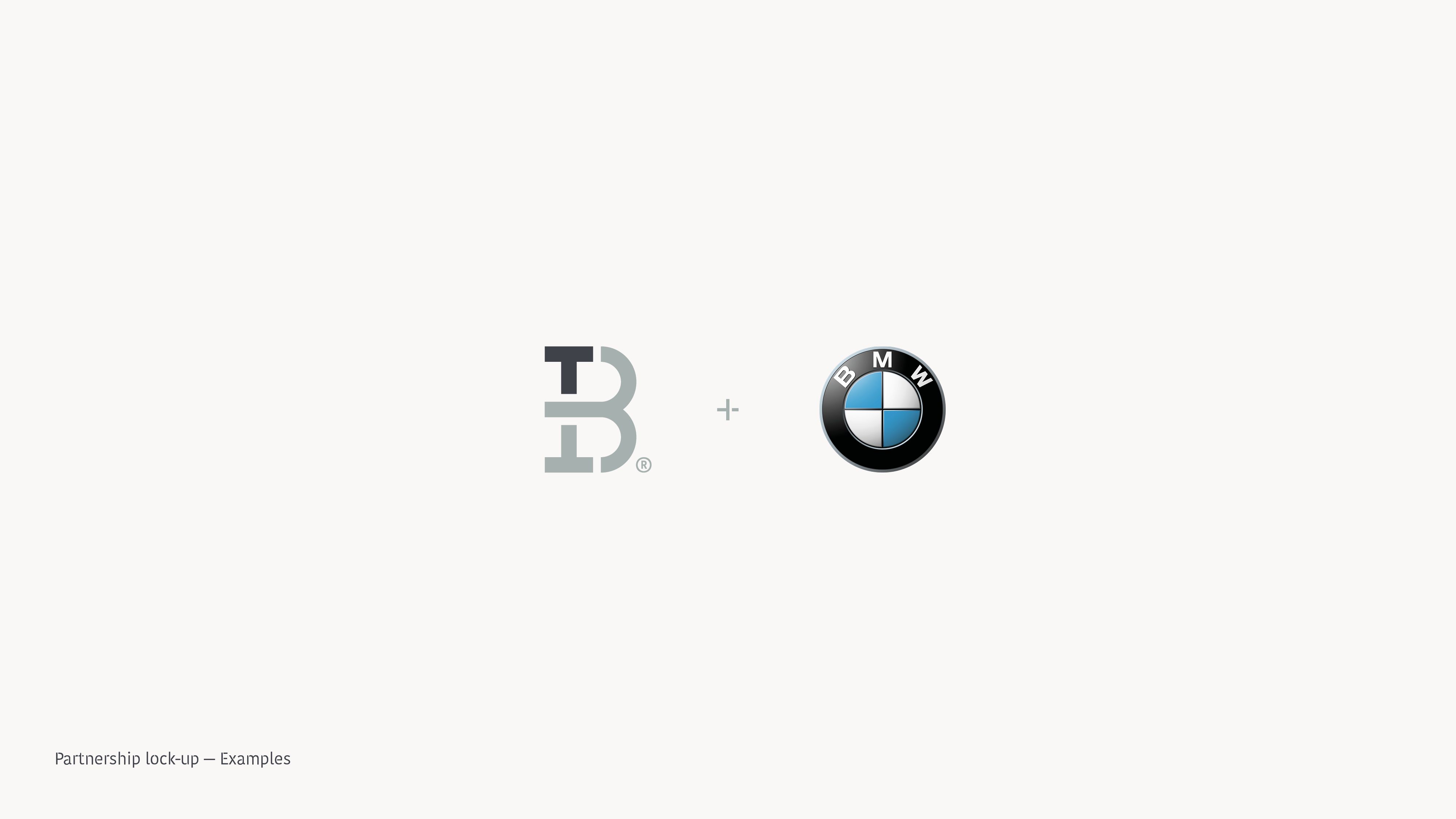 texmoblank_brand-guidelines28a