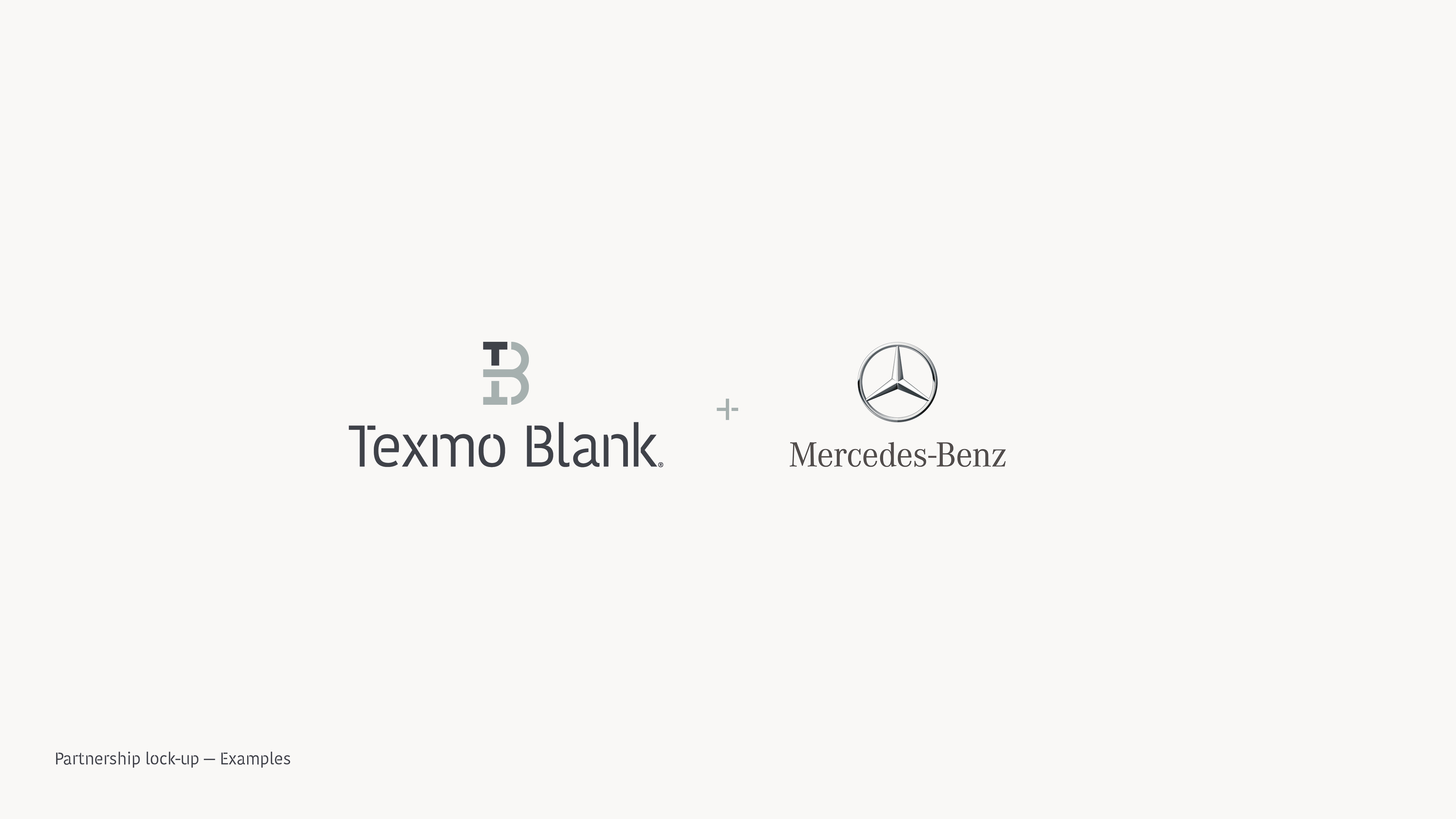 texmoblank_brand-guidelines30a