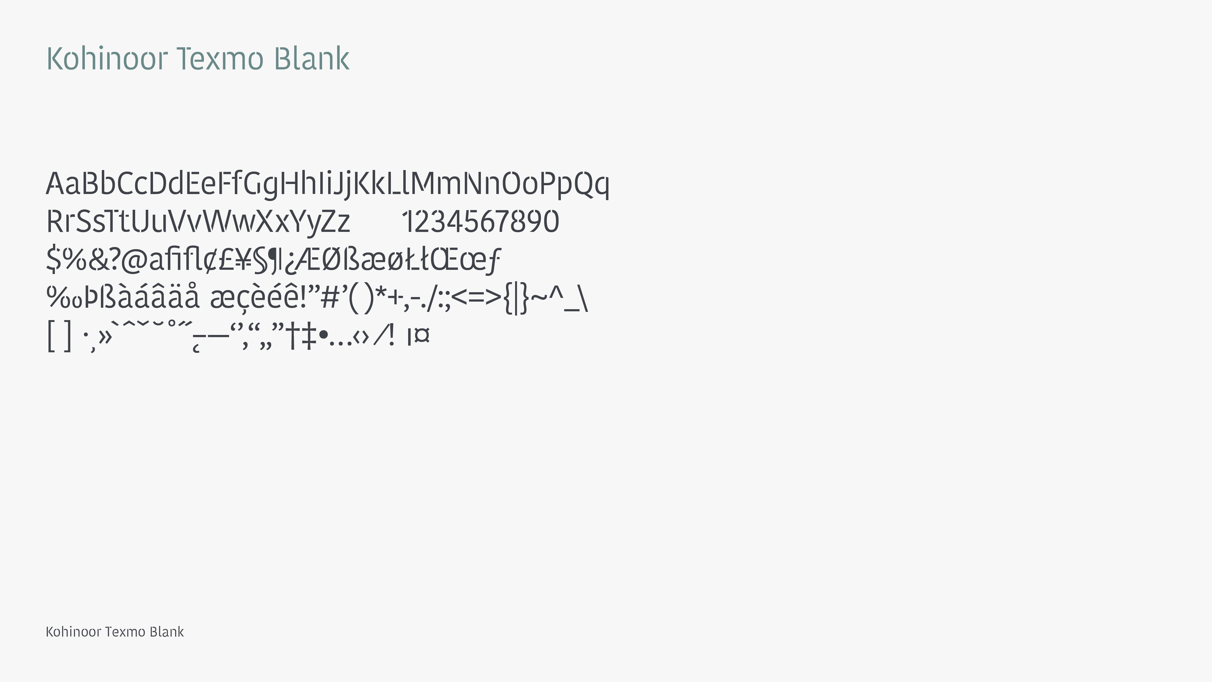 texmoblank_brand-guidelines34a
