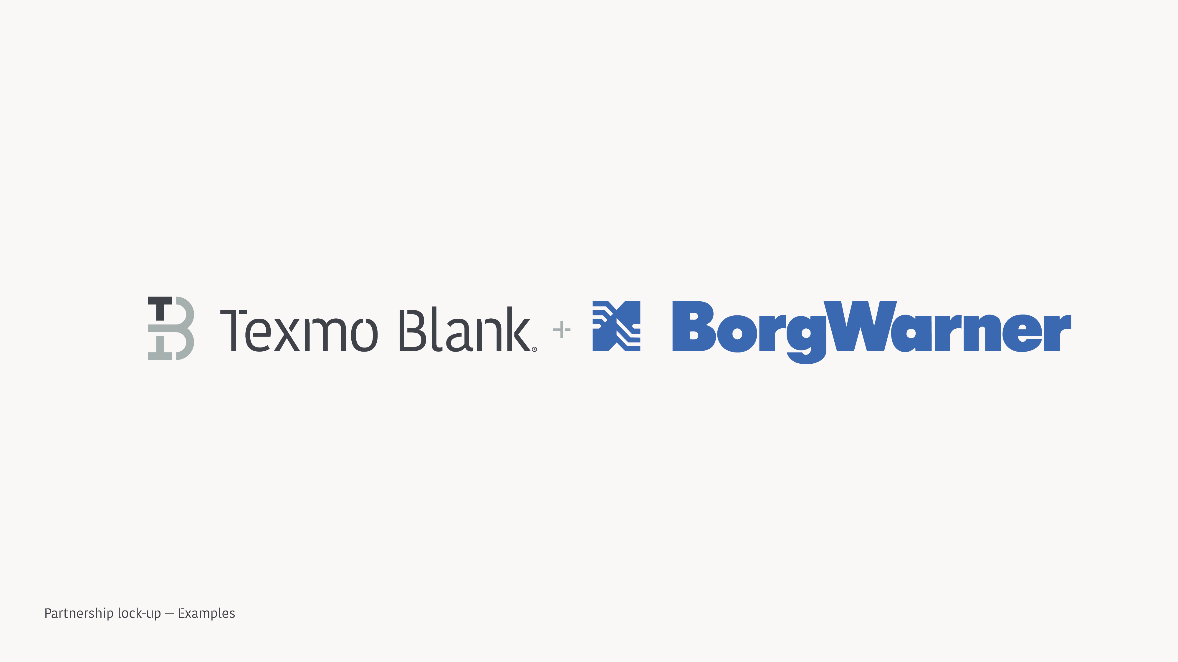 texmoblank_brand-guidelines32d