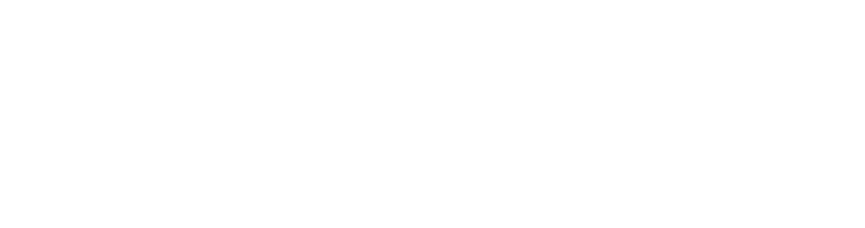 vaisala_logo_white
