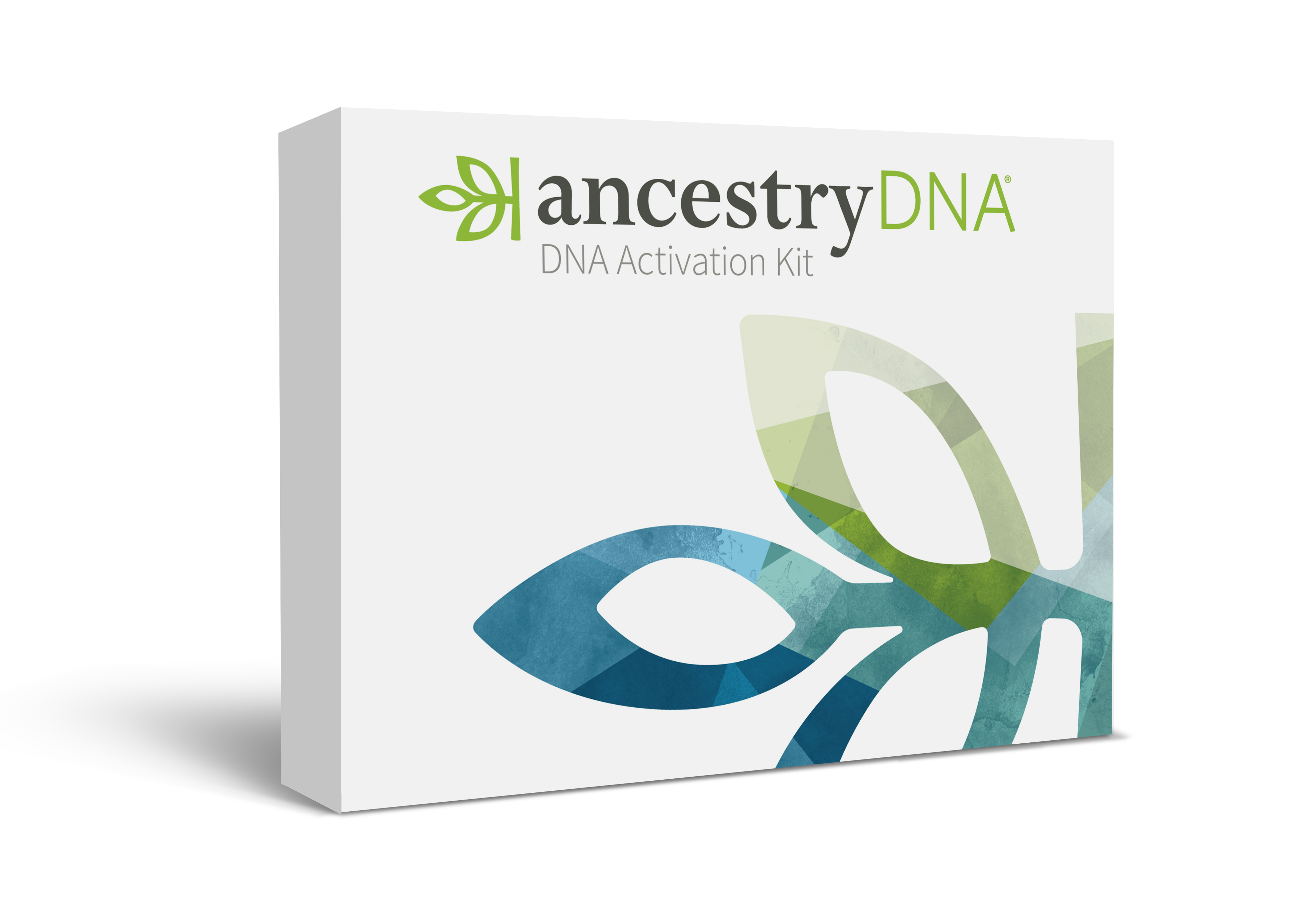 Dna Text Box Ancestry Brand Guidelines 2025 - brand identity, guideline and assets.