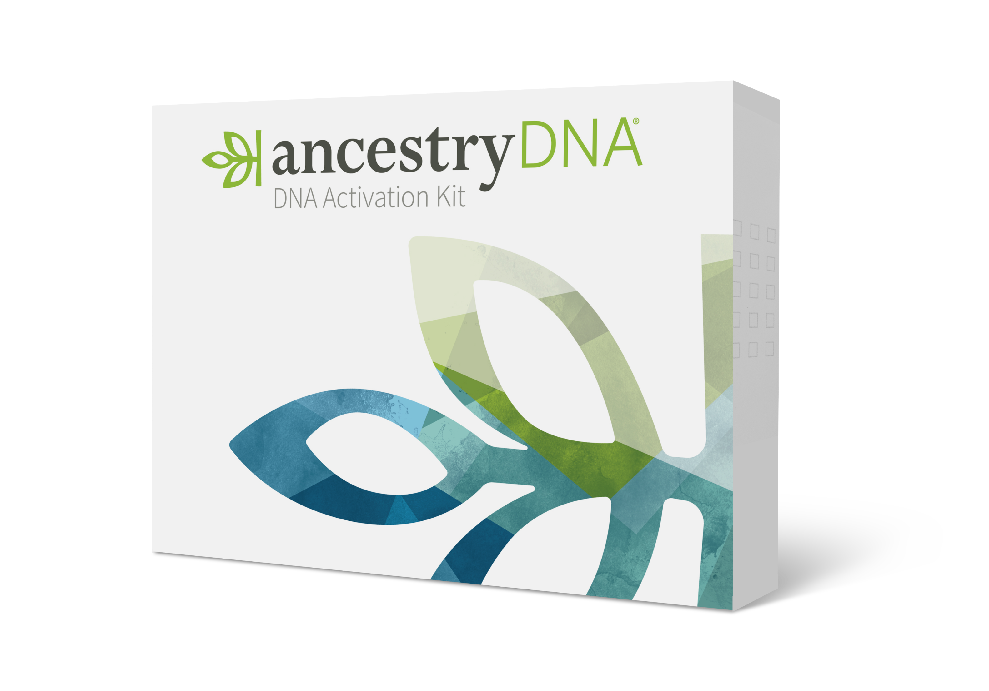 Ancestry Brand Guidelines 2025 - brand identity, guideline and assets.