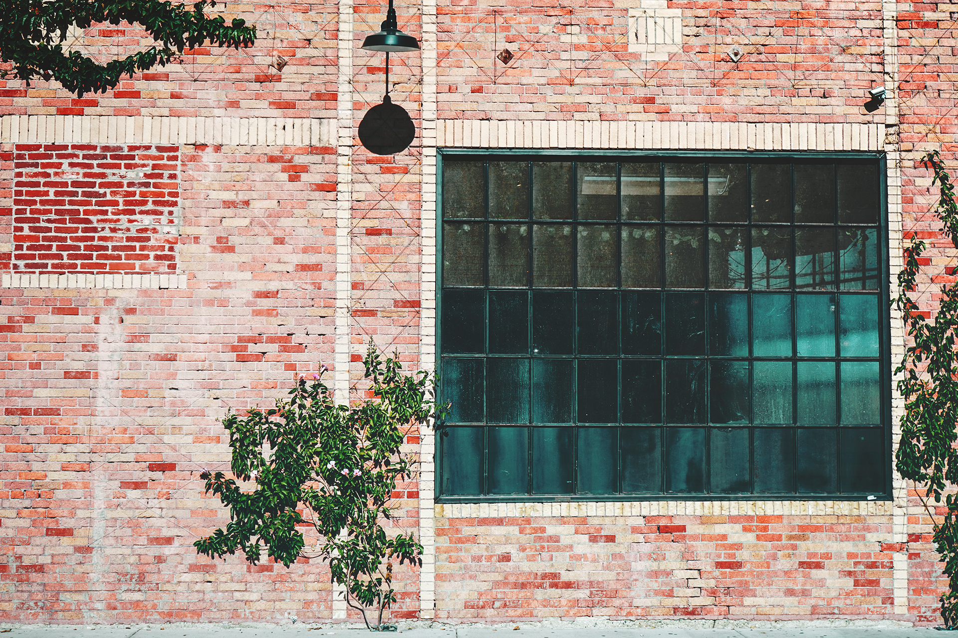 Greenpoint_Window
