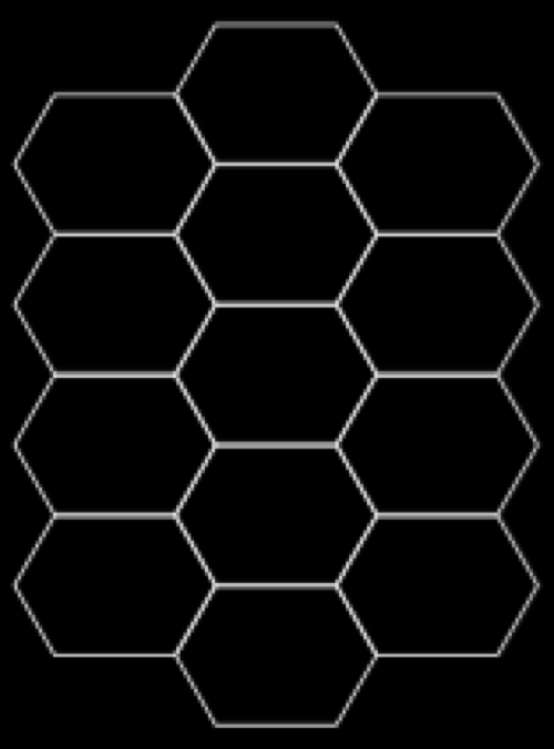 skeleton_tortoisegrid