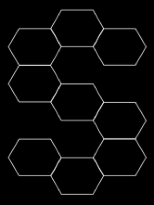 skeleton_s_tortoise
