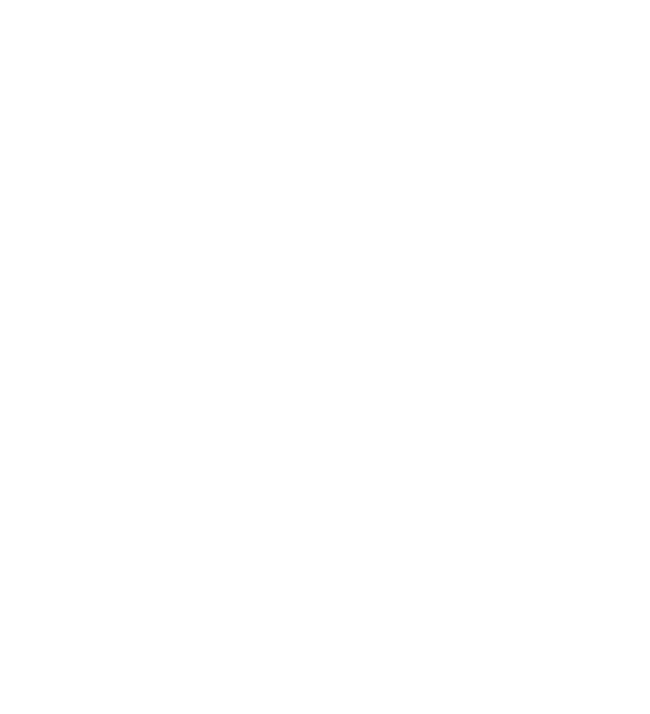 Brandpad_Logo_White